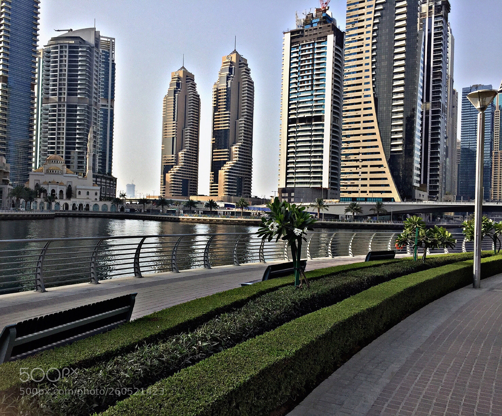 Apple iPhone 6 sample photo. Elements 
 photography