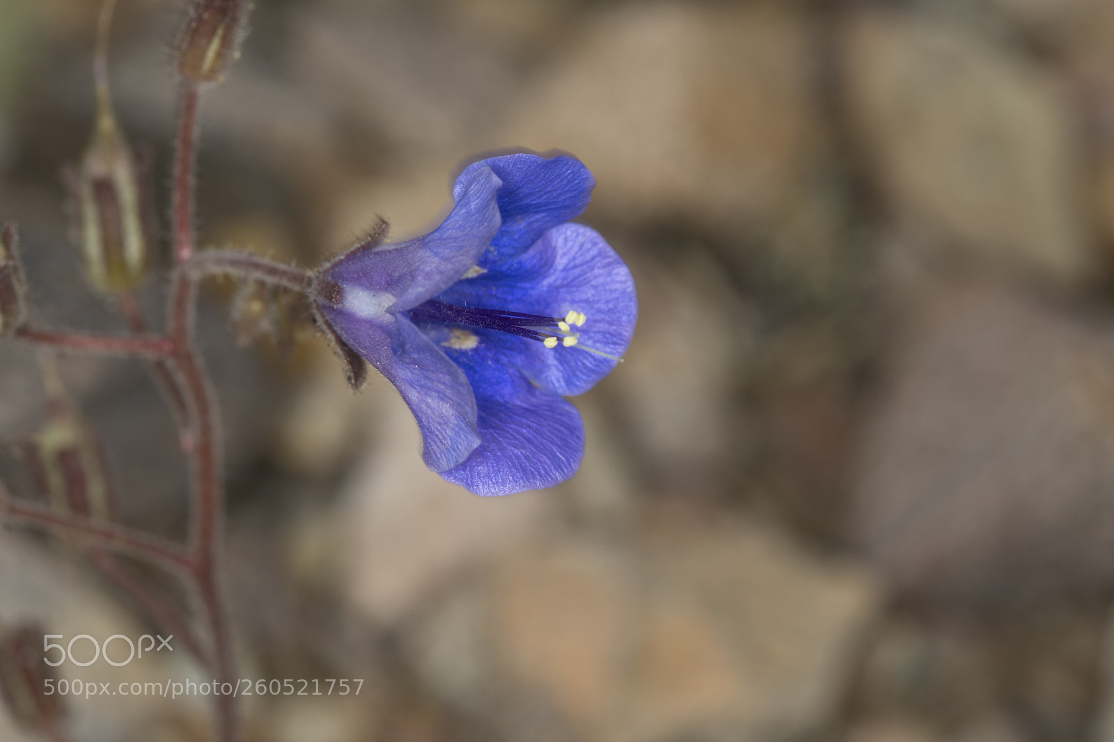 Canon EOS 5D Mark IV sample photo. Aa photography