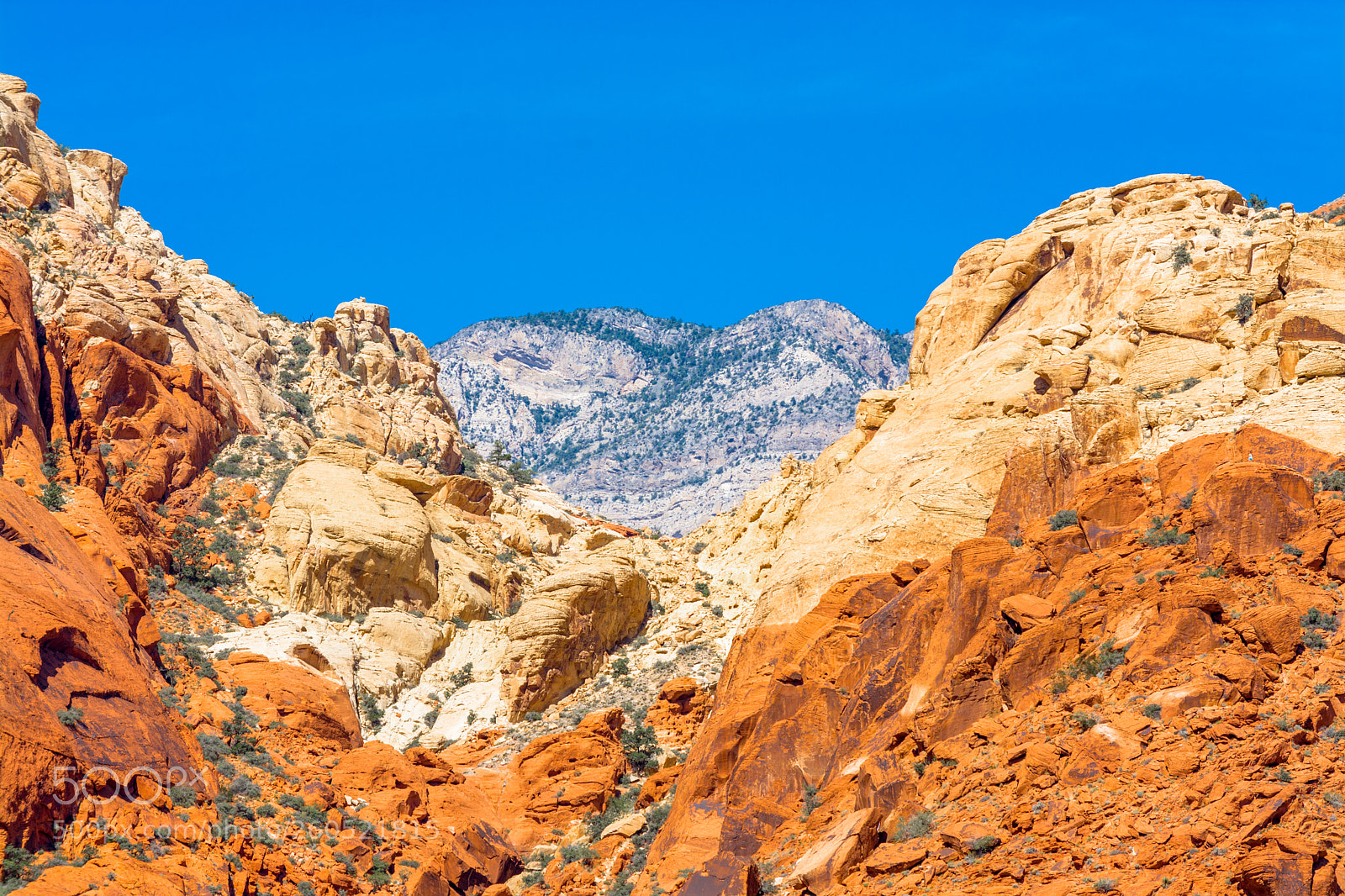 Nikon D7100 sample photo. Red rocks in the photography