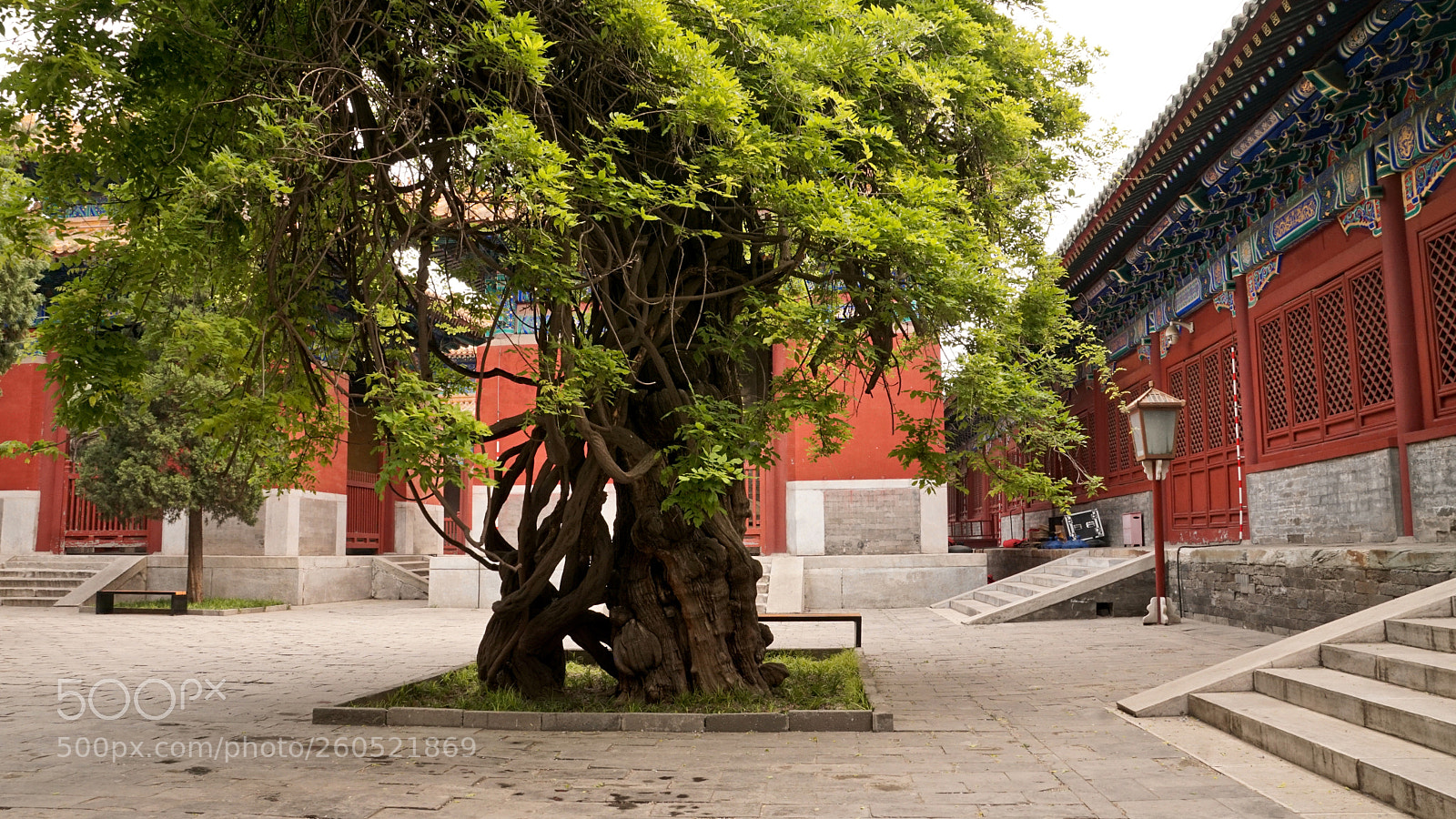 Sony ILCA-77M2 sample photo. Peace at the beijing photography