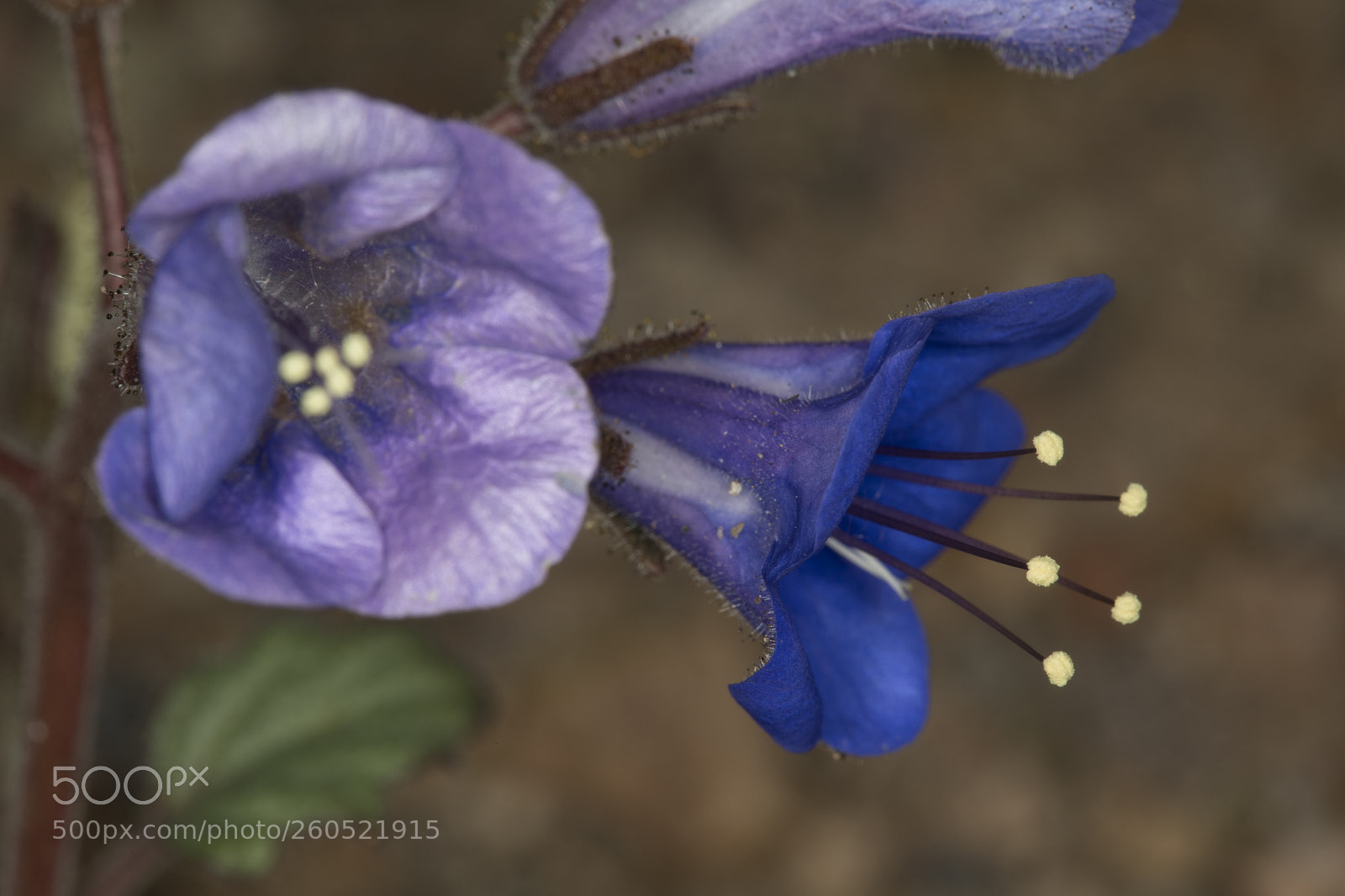 Canon EOS 5D Mark IV sample photo. Aa photography