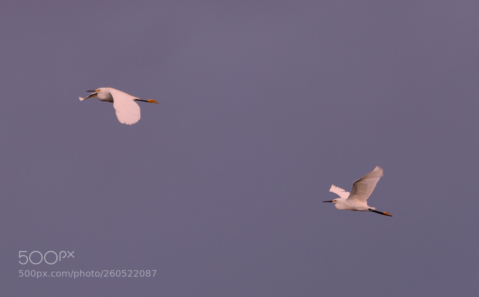 Canon EOS-1D X Mark II sample photo. 06-02-18-0020873.jpg photography