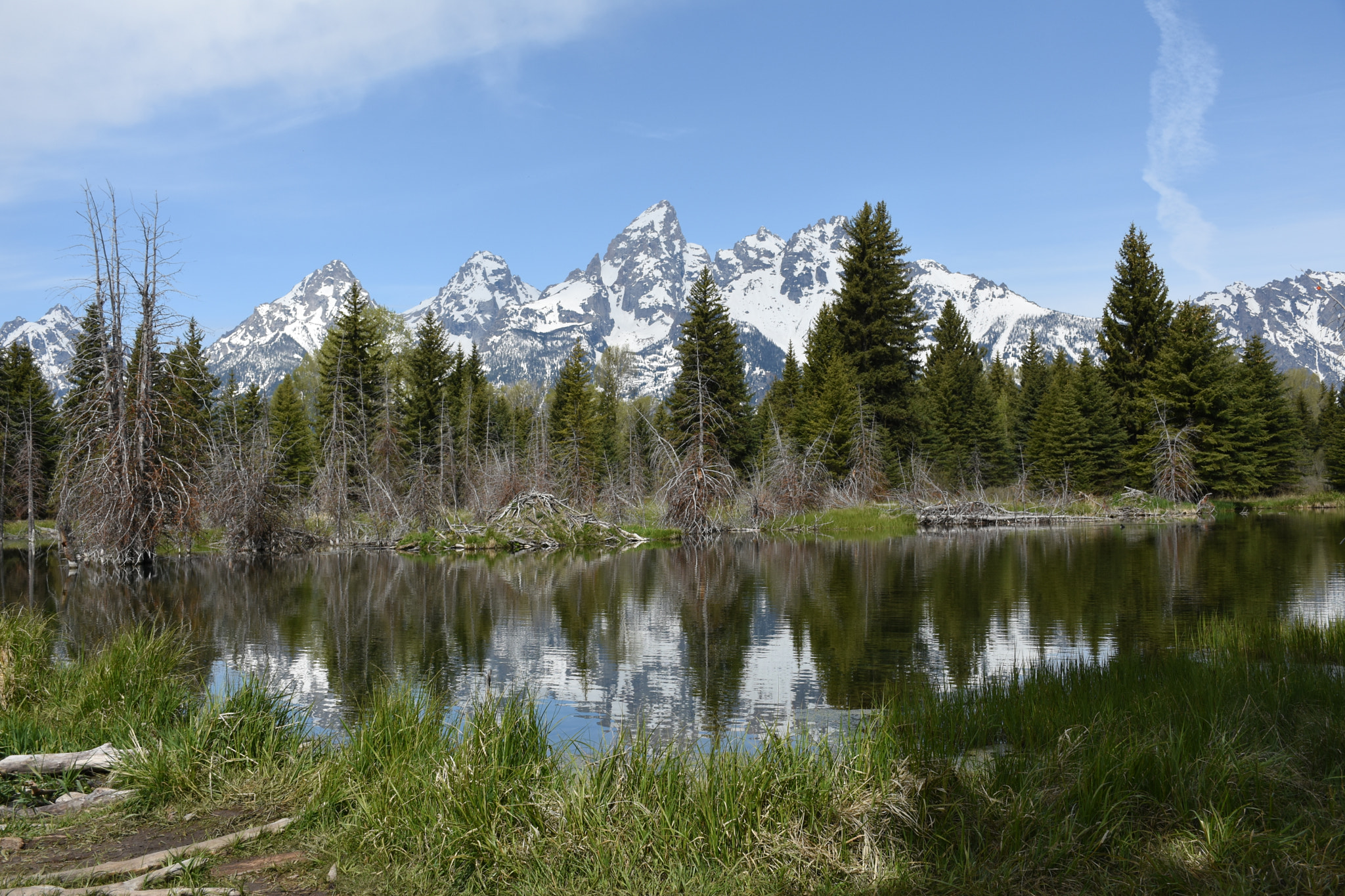 Nikon D7200 sample photo. Schwabacher landing photography