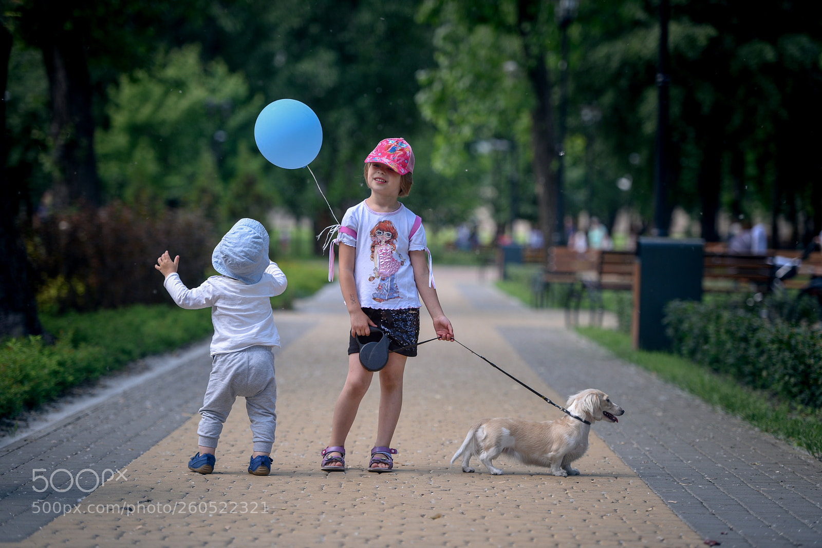 Nikon D750 sample photo. Play again photography
