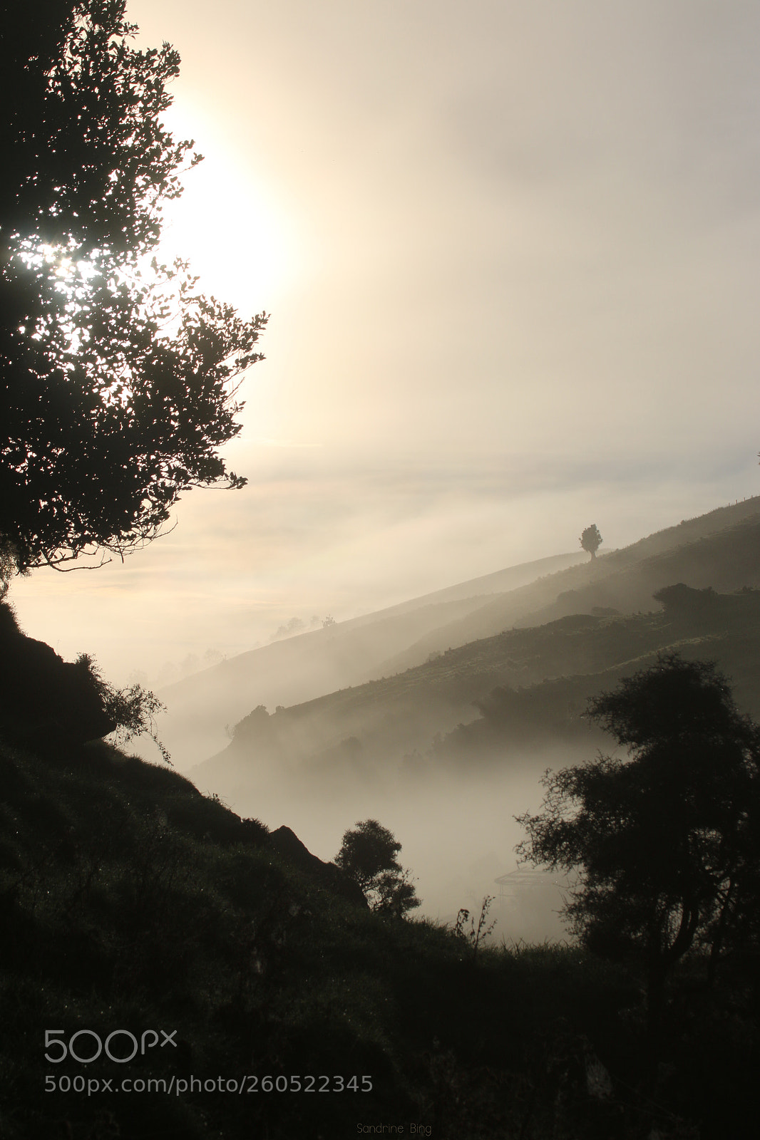 Canon EOS 70D sample photo. Foggy morning photography