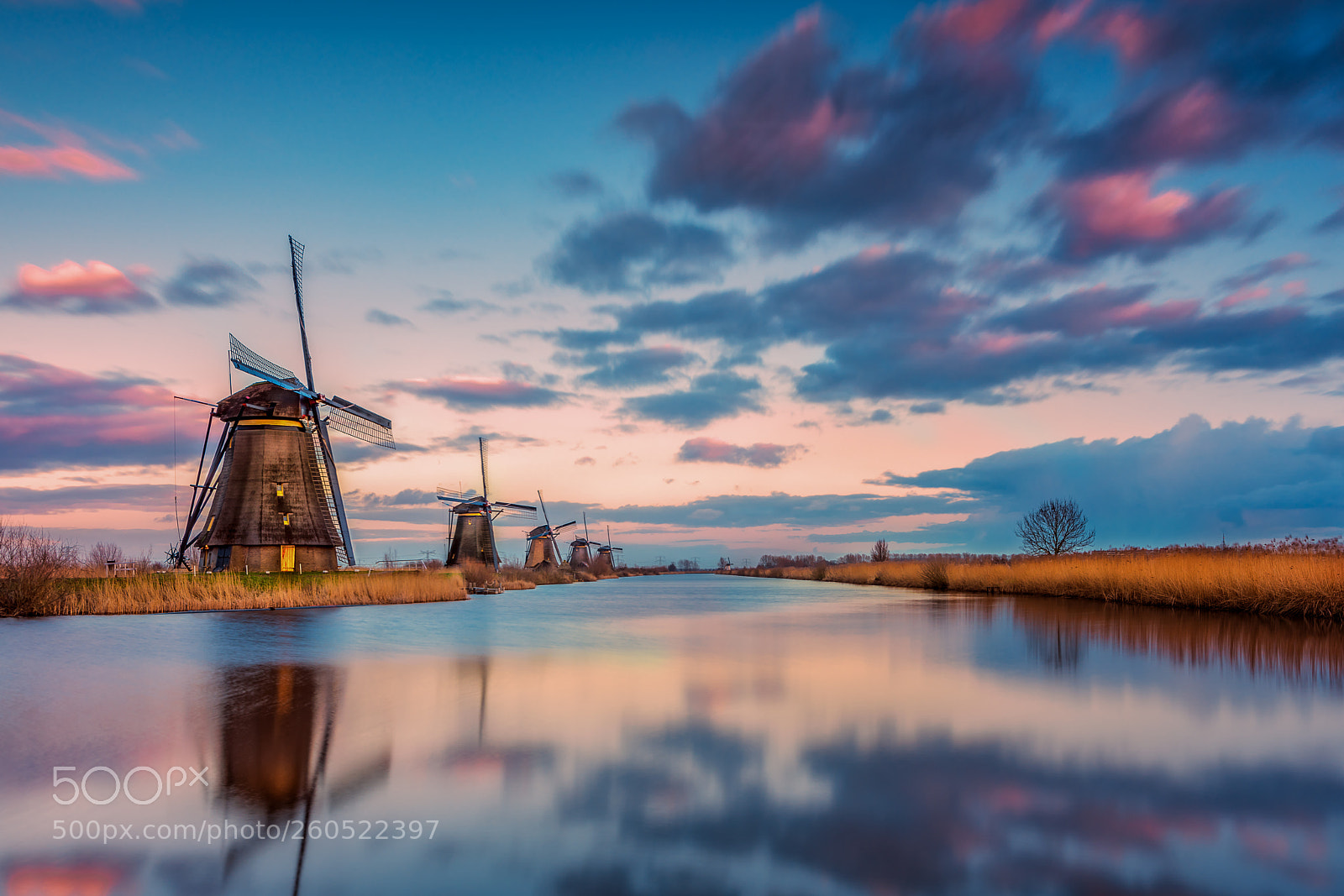 Nikon D850 sample photo. Kinderdijk - so calm photography