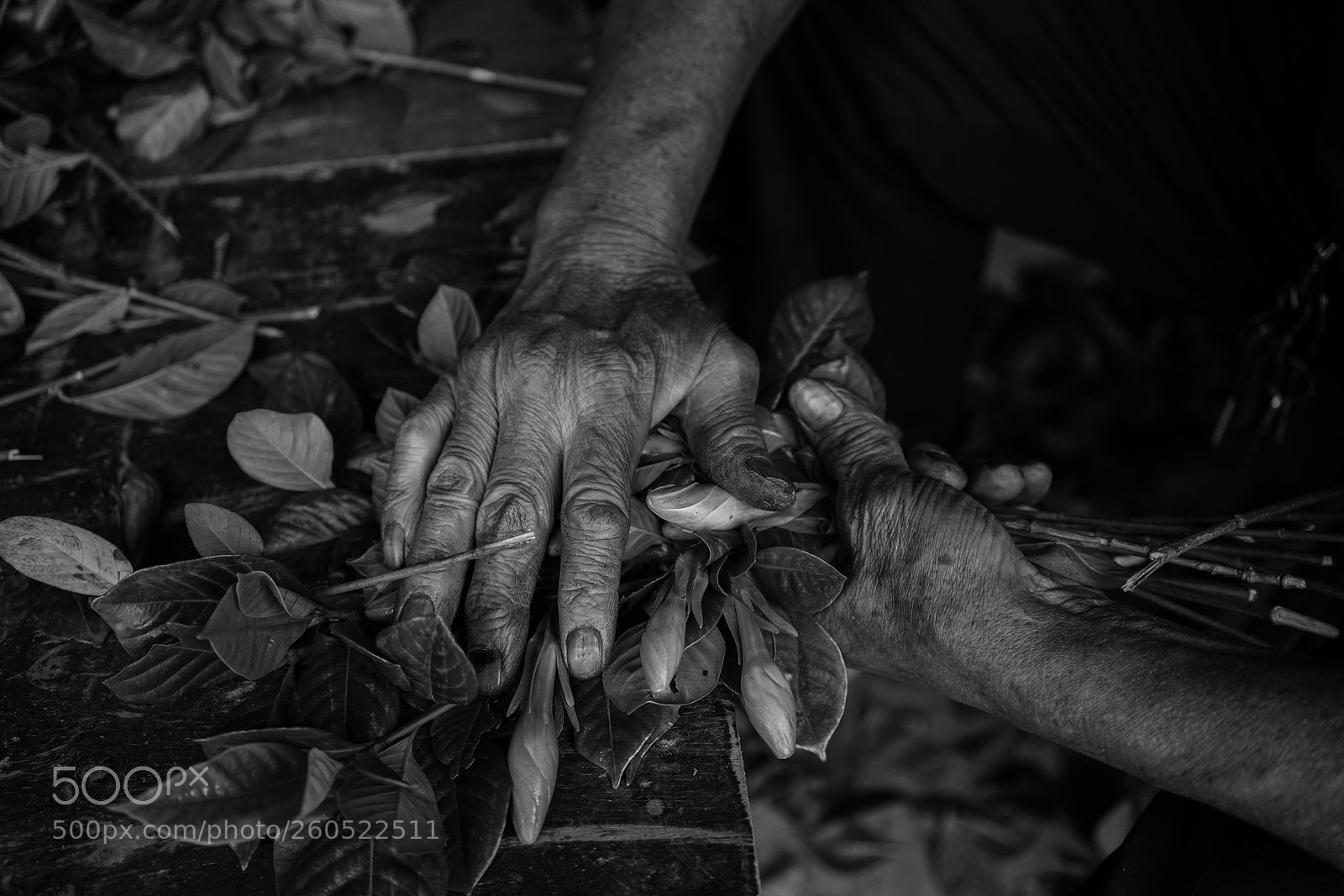 Sony a7R III sample photo. Hand photography