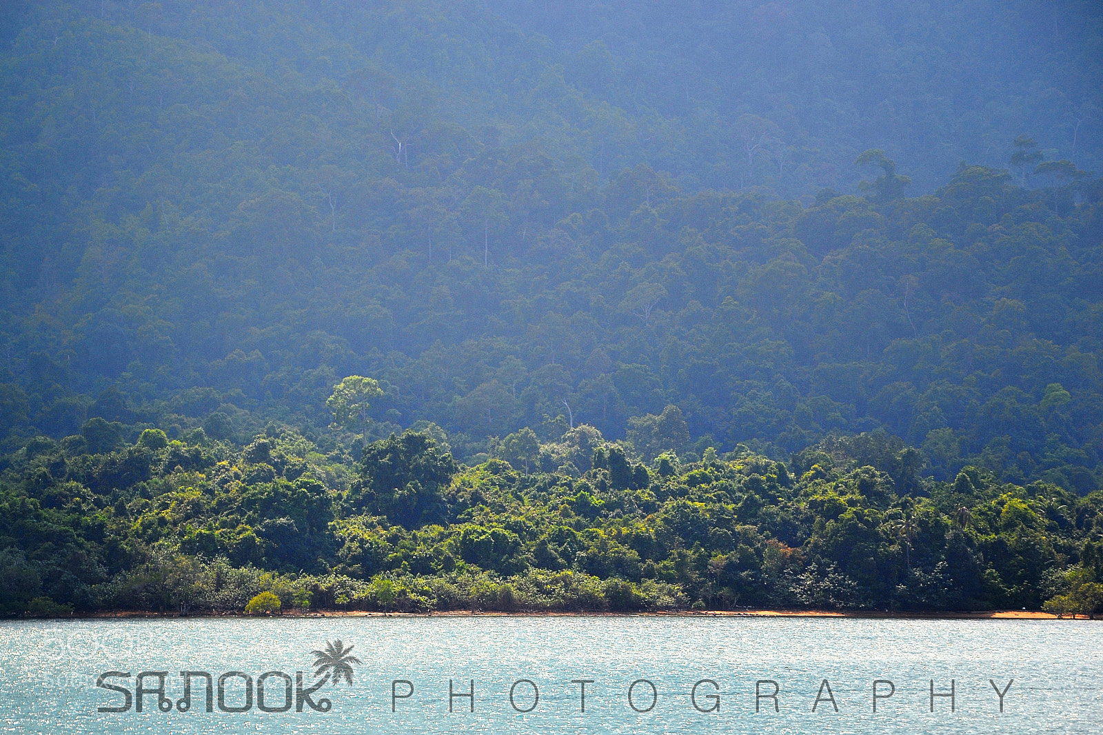 Nikon D3100 sample photo. Koh chand wild forest photography
