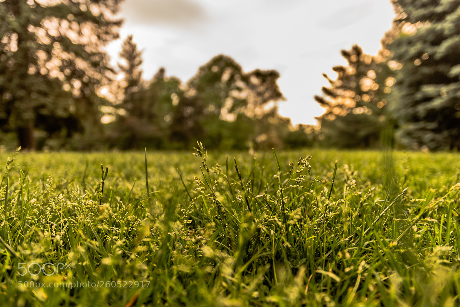 Nikon D7200 sample photo. Below photography
