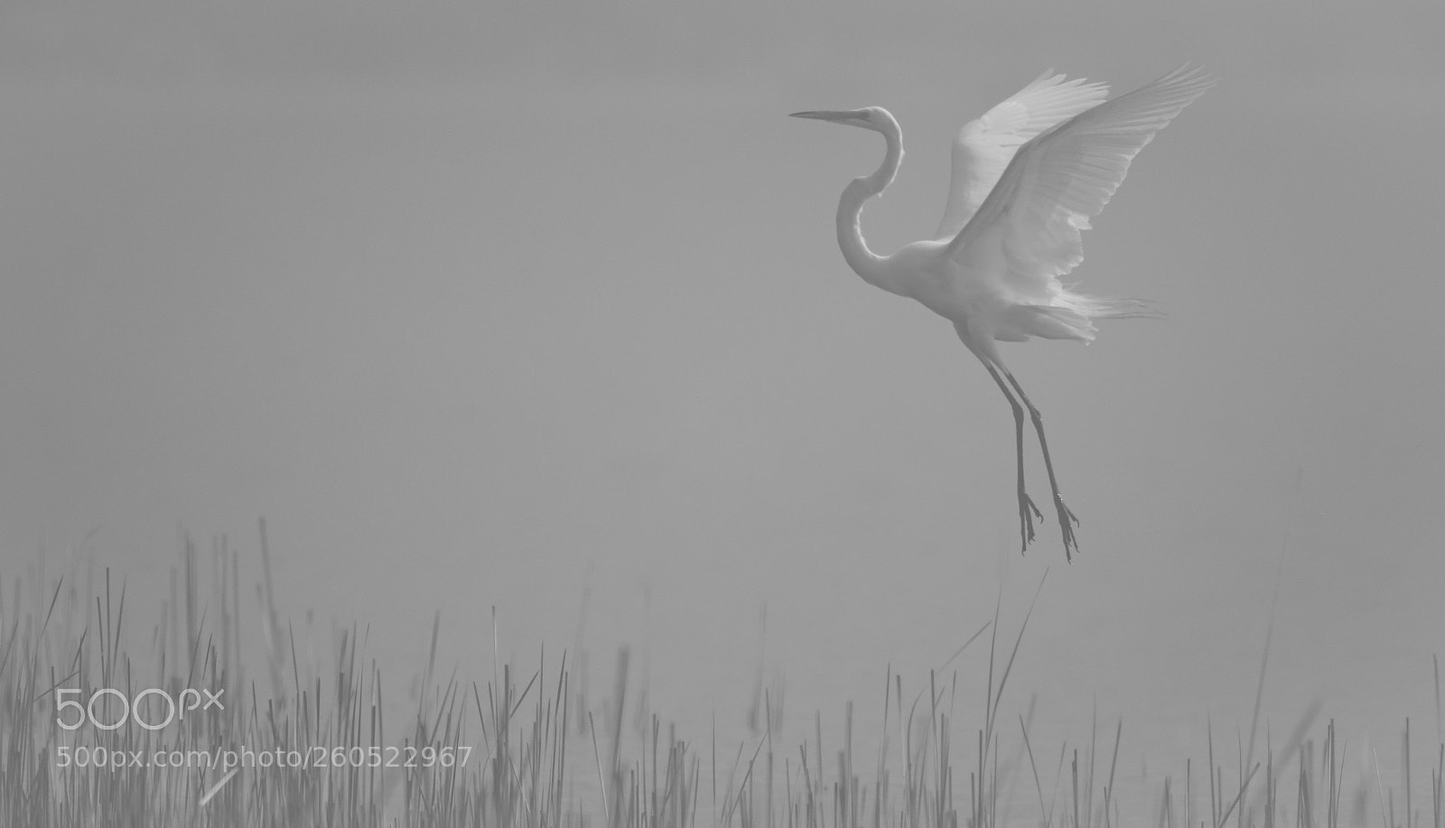 Canon EOS 7D Mark II sample photo. Misty harbor photography