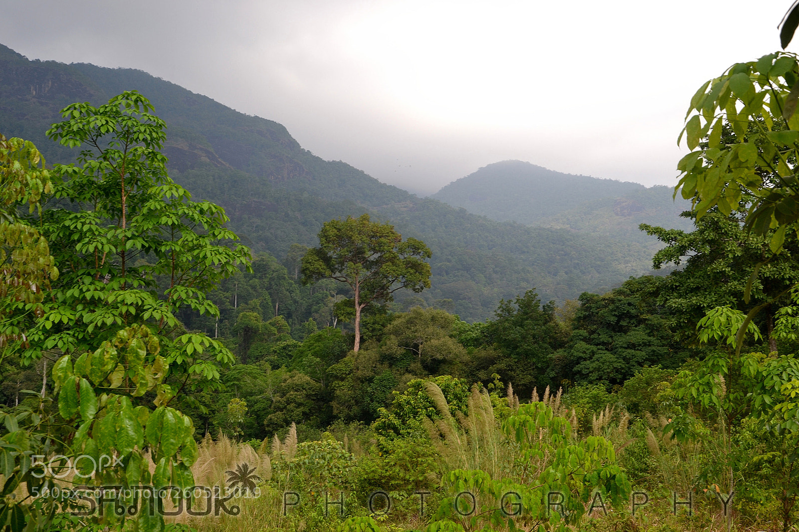 Nikon D3100 sample photo. Secret koh chang photography
