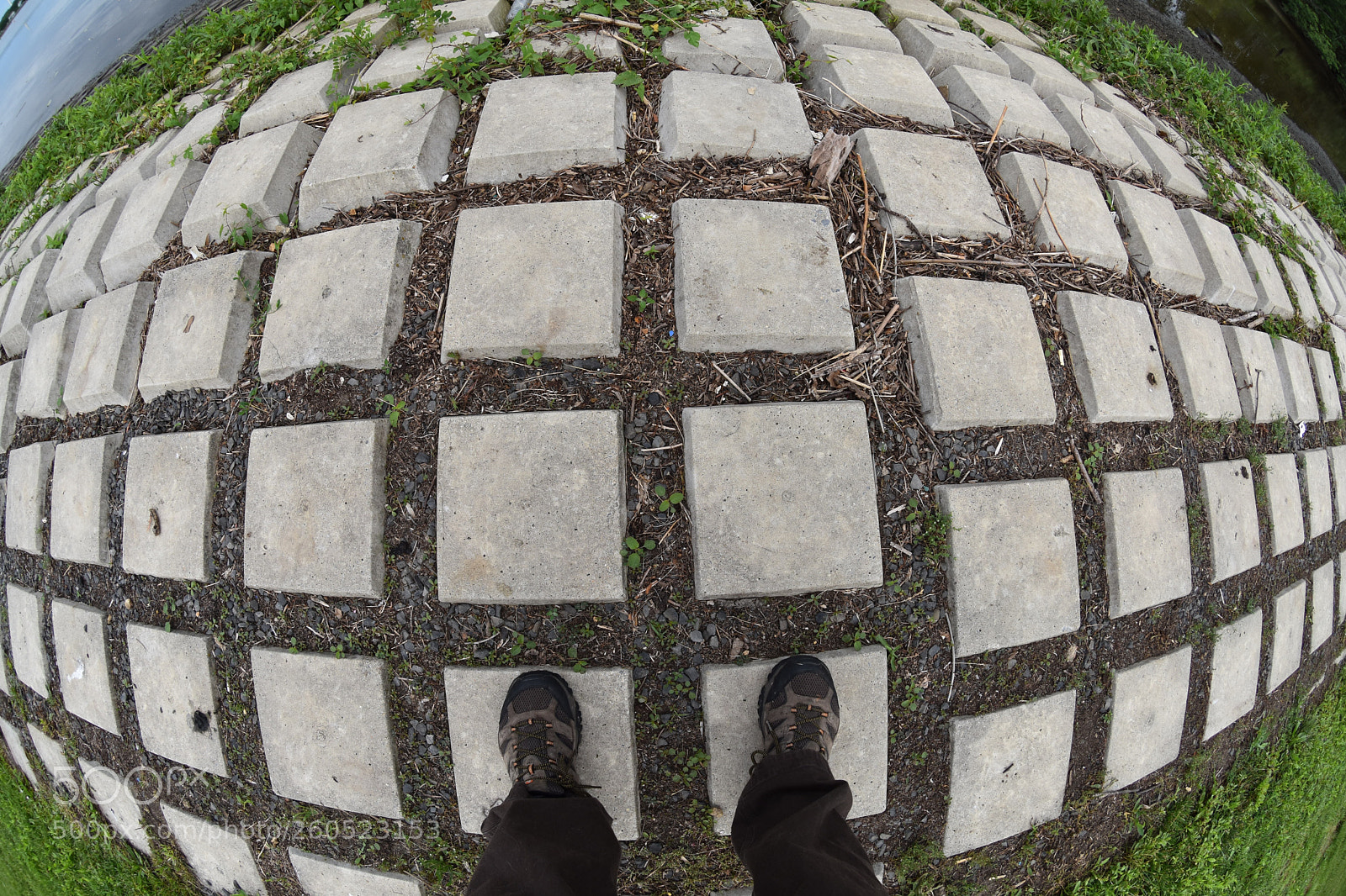 Nikon D7200 sample photo. Inception photography
