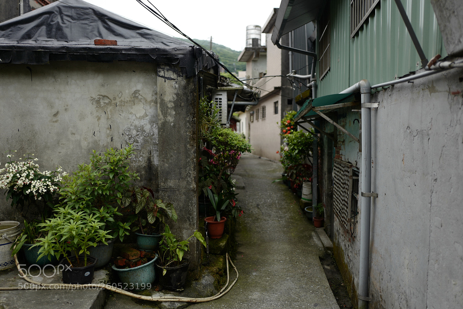 Leica Q (Typ 116) sample photo. 走街串巷路過民居 photography