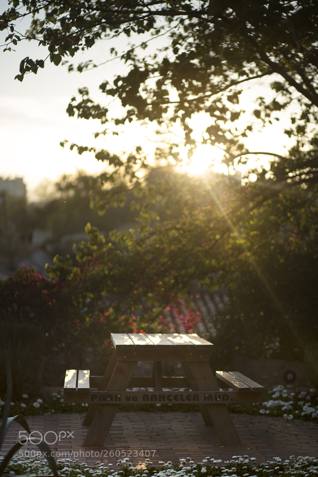 Canon EOS 6D sample photo. Kopya photography