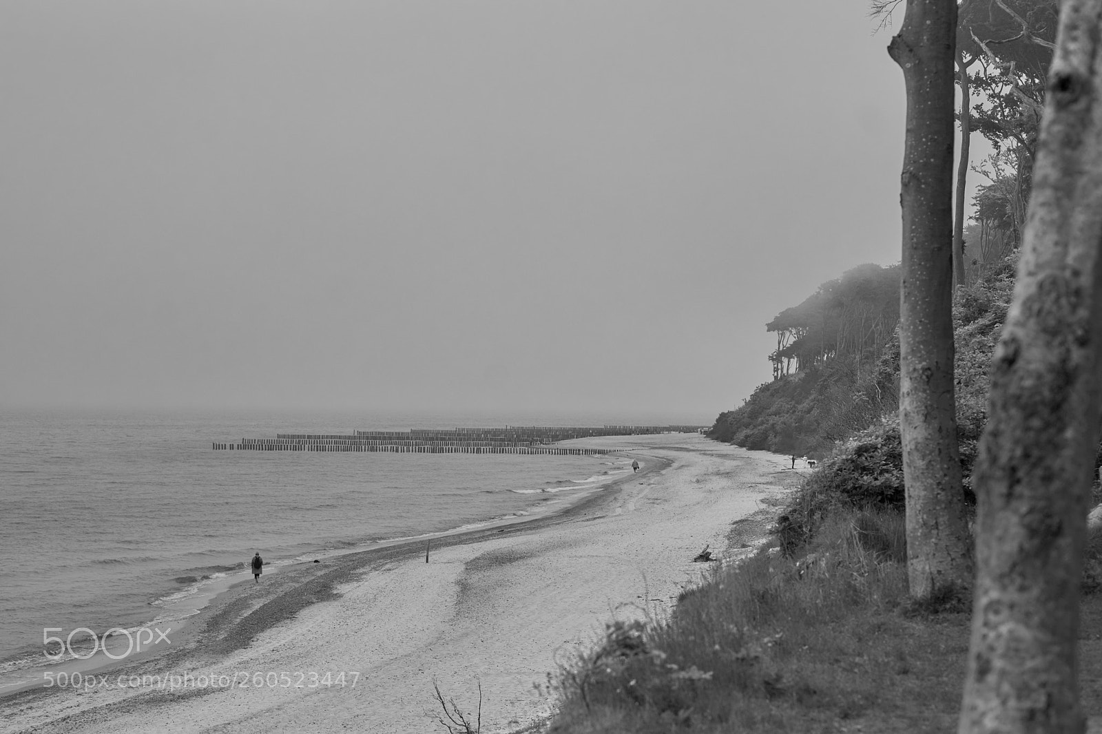 Sony Alpha DSLR-A850 sample photo. Descending fog at the photography