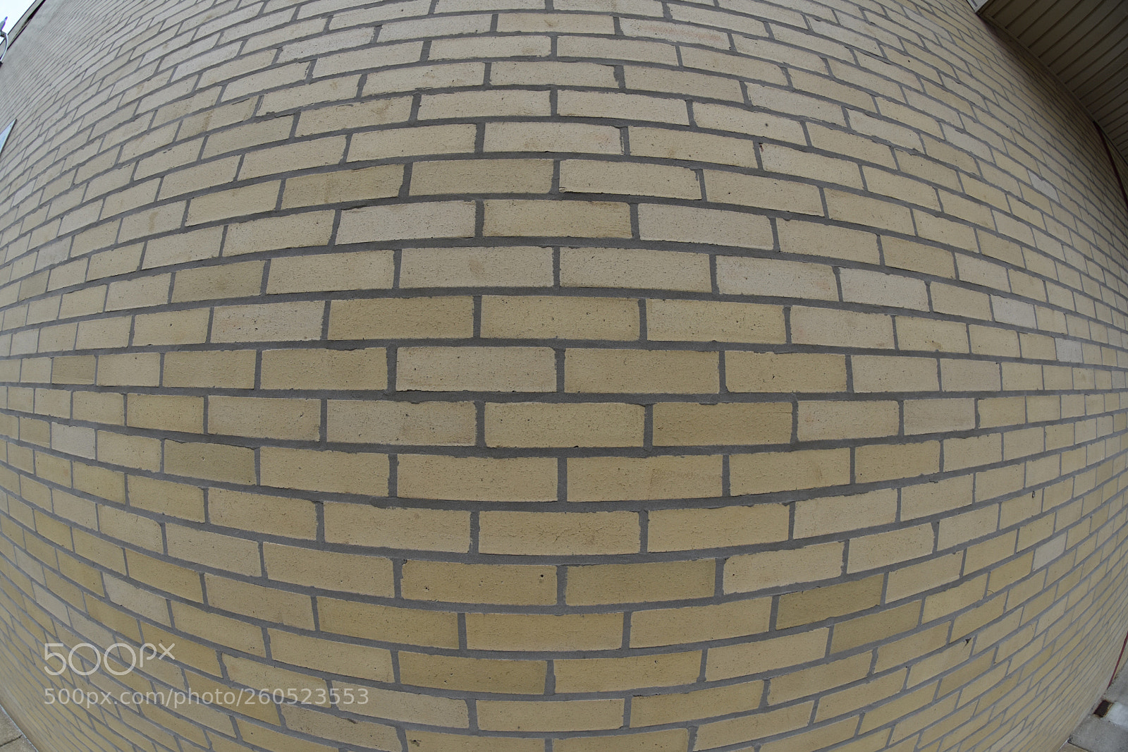Nikon D7200 sample photo. Brick eye photography