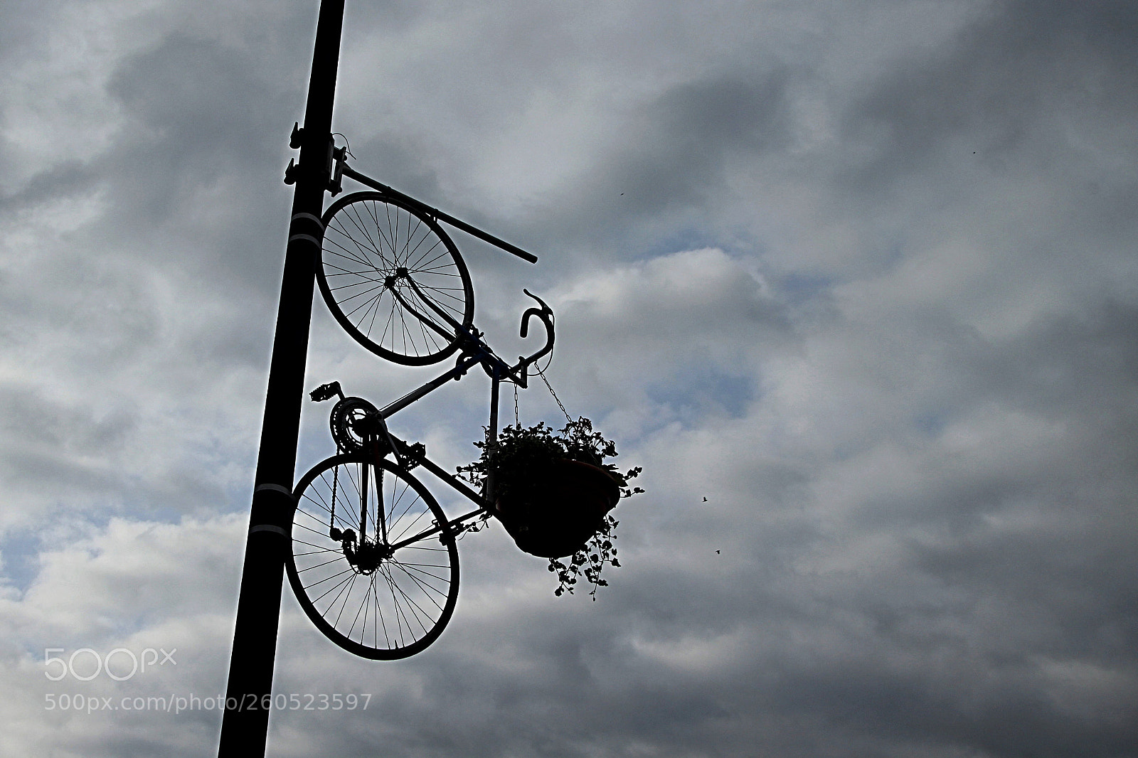Canon EOS 600D (Rebel EOS T3i / EOS Kiss X5) sample photo. Bicicleta con maceta photography