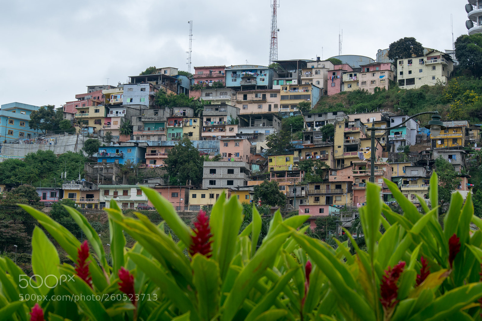 Nikon D5300 sample photo. Ecuador south america photography