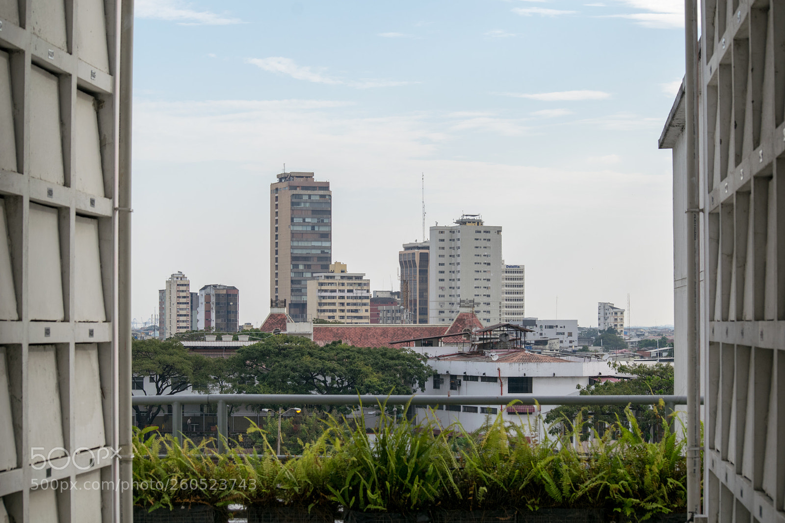 Nikon D5300 sample photo. Rmn-31.jpg photography