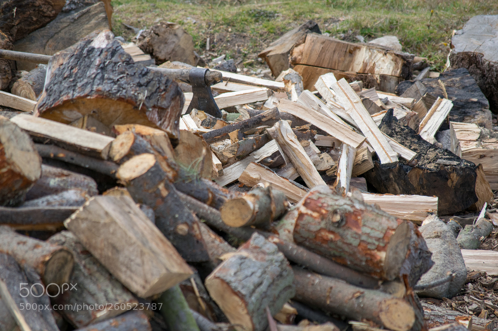 Nikon D5300 sample photo. Site where firewood is photography