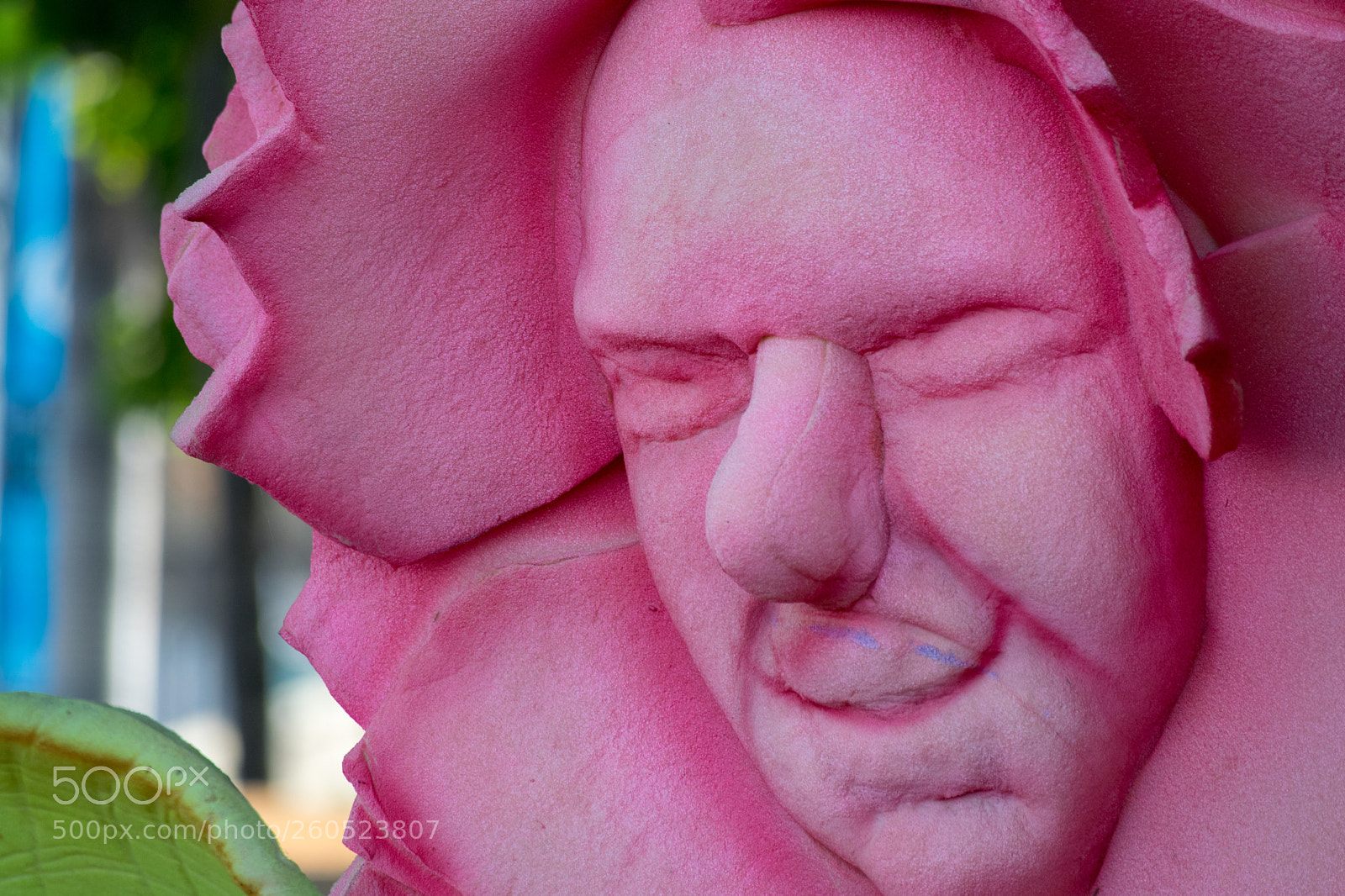 Nikon D5300 sample photo. Flower with face made photography