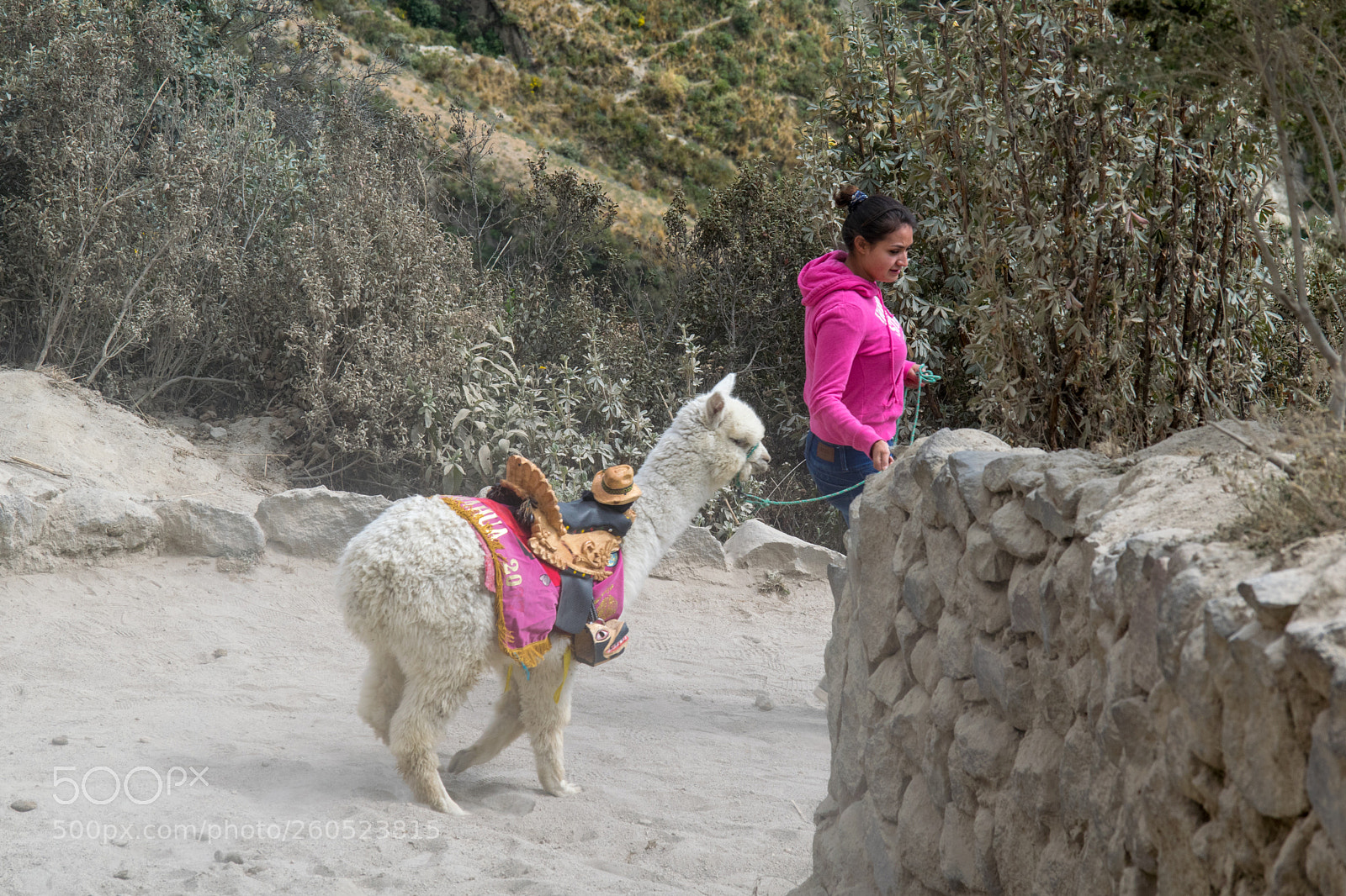 Nikon D5300 sample photo. Ecuador south america photography