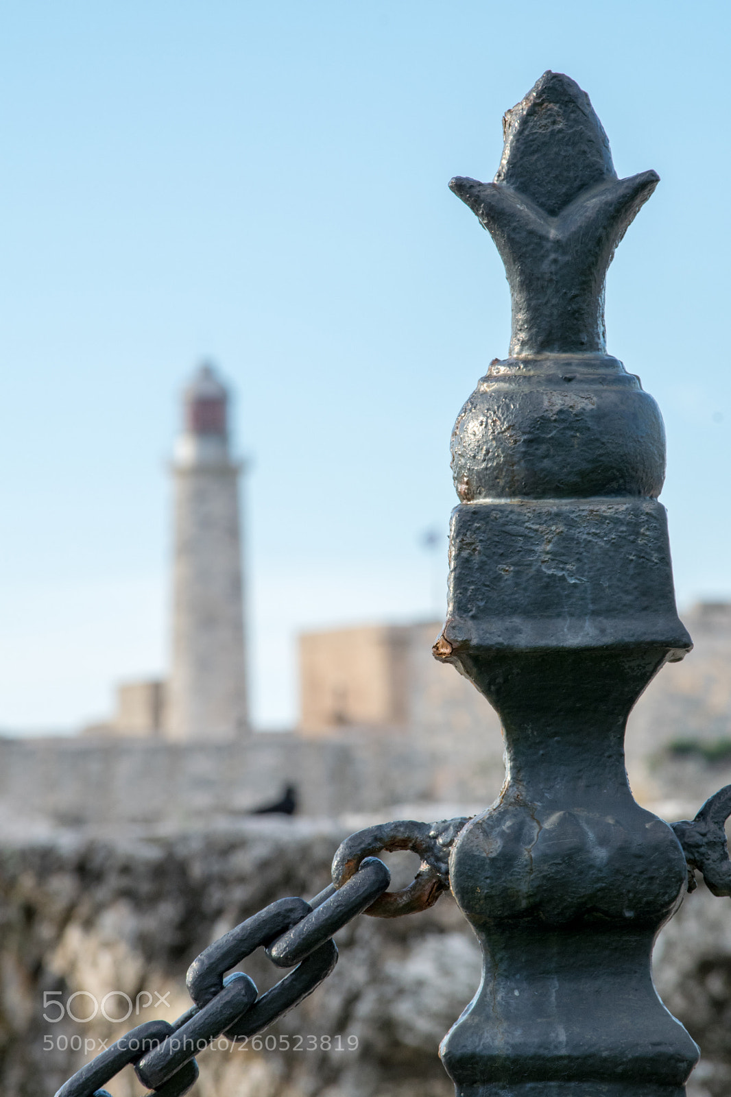 Nikon D5300 sample photo. The nose of havana photography