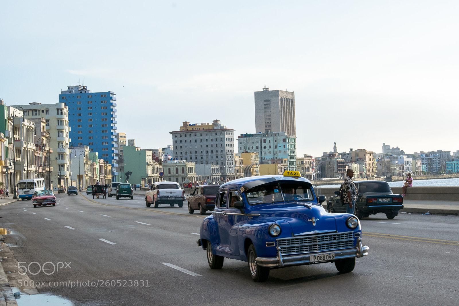 Nikon D5300 sample photo. The malecon avenue of photography