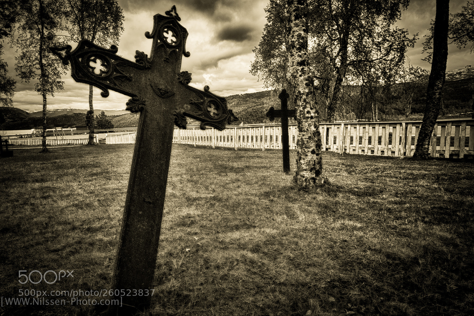 Nikon D500 sample photo. Old & forgotten photography