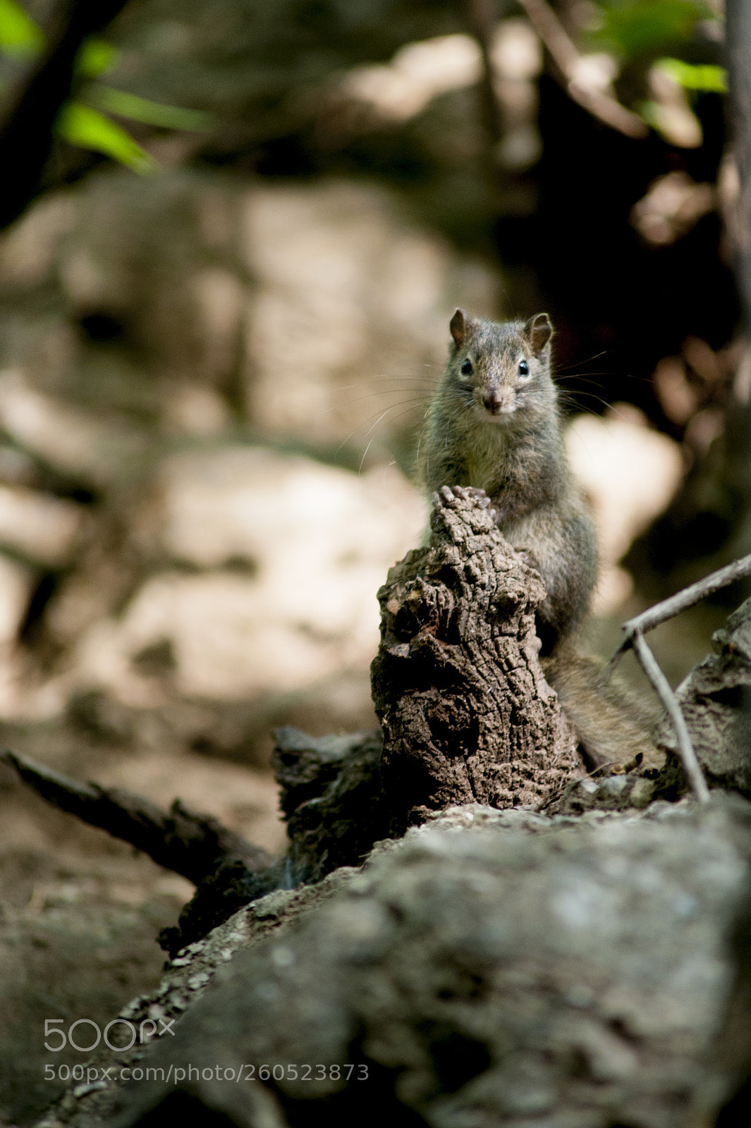 Nikon D700 sample photo. Valley3 photography