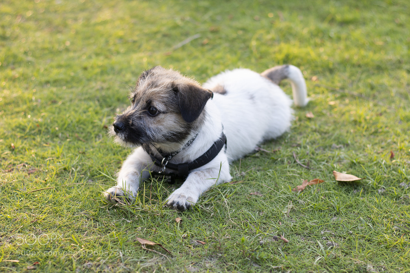 Canon EOS 70D sample photo. Untitled photography