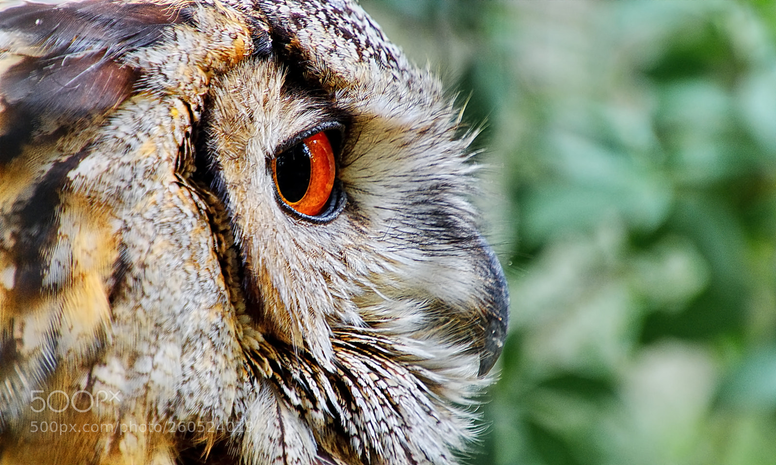 Nikon D7000 sample photo. Casteel park , born (nl) photography