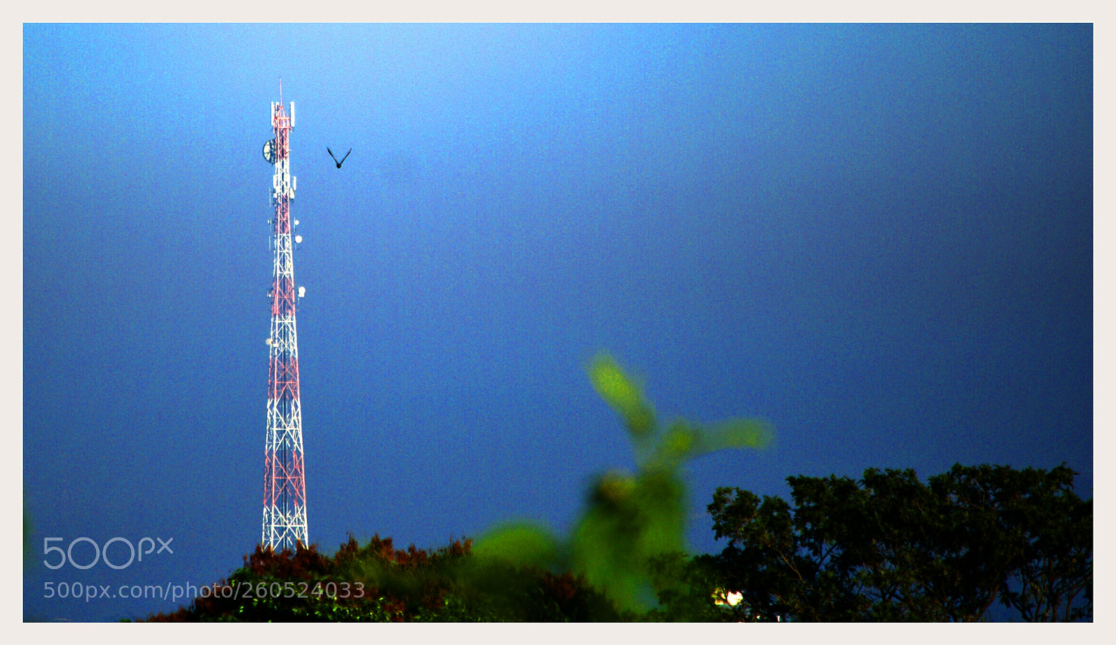 Nikon D5300 sample photo. ... bonjuxuxu ;-)" photography