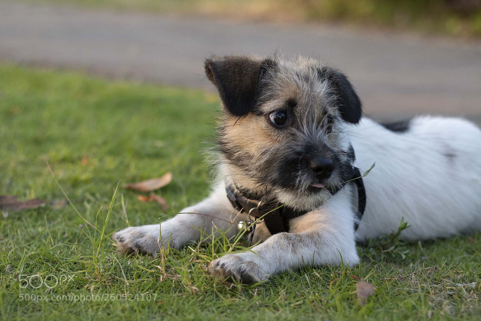 Canon EOS 70D sample photo. Untitled photography