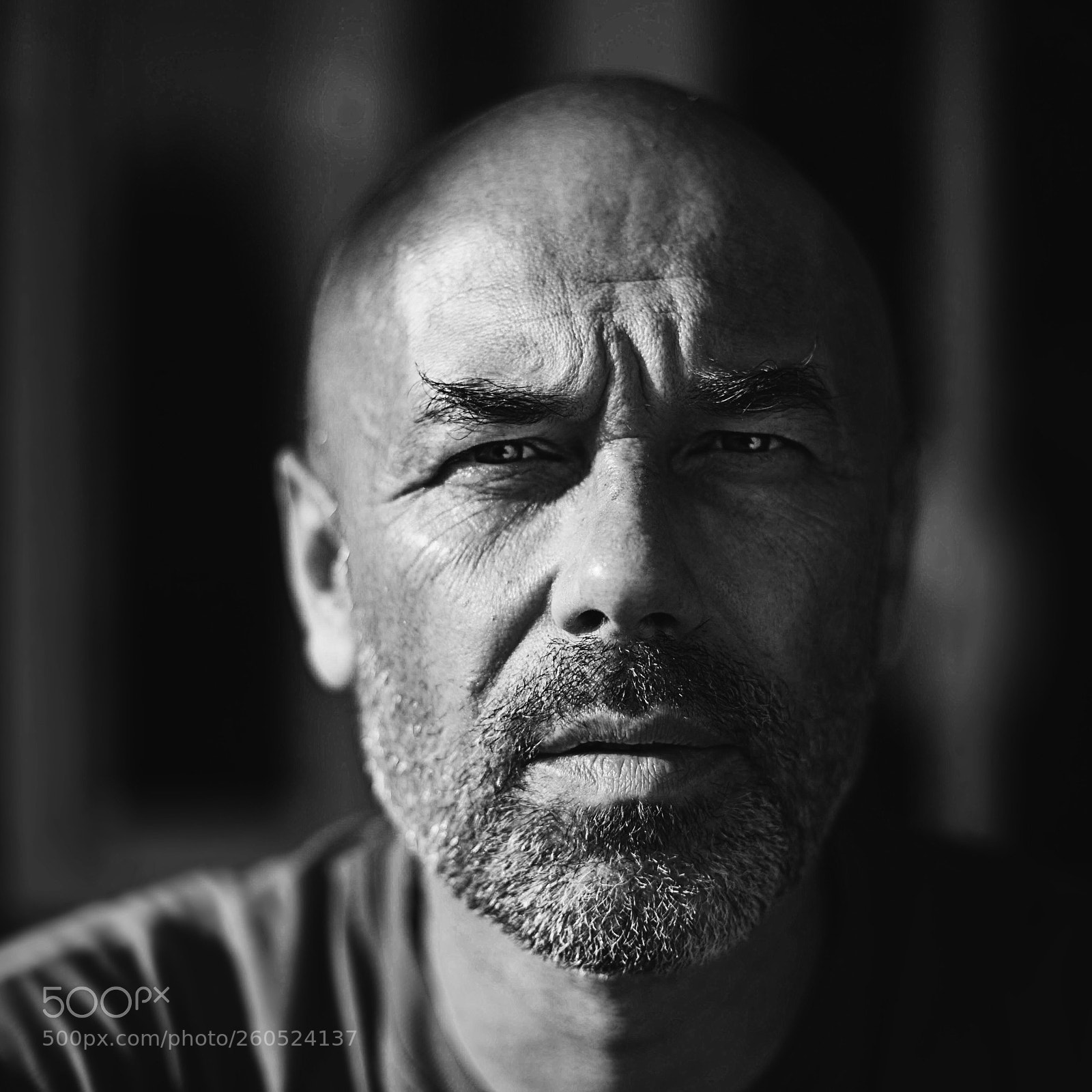 Canon EOS 6D sample photo. Untitled photography