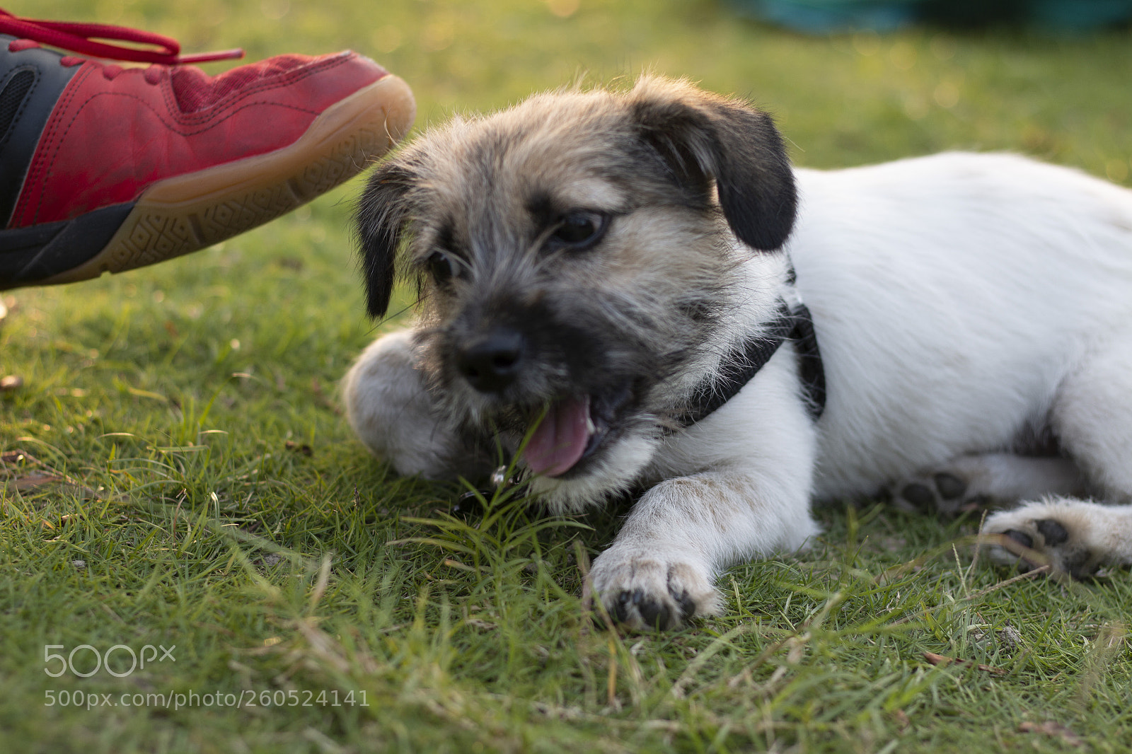 Canon EOS 70D sample photo. Untitled photography