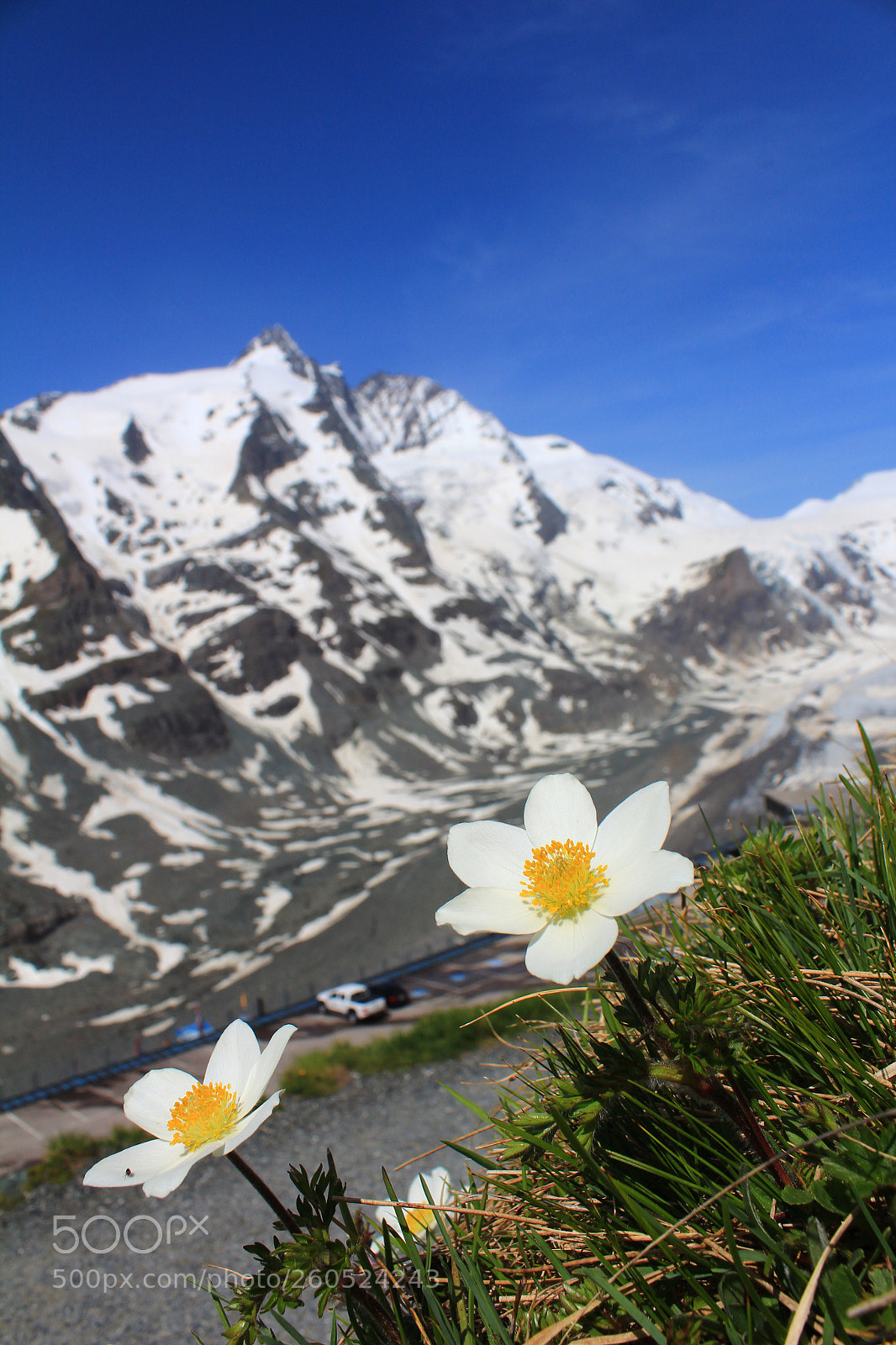 Canon EOS 600D (Rebel EOS T3i / EOS Kiss X5) sample photo. Großglockner photography