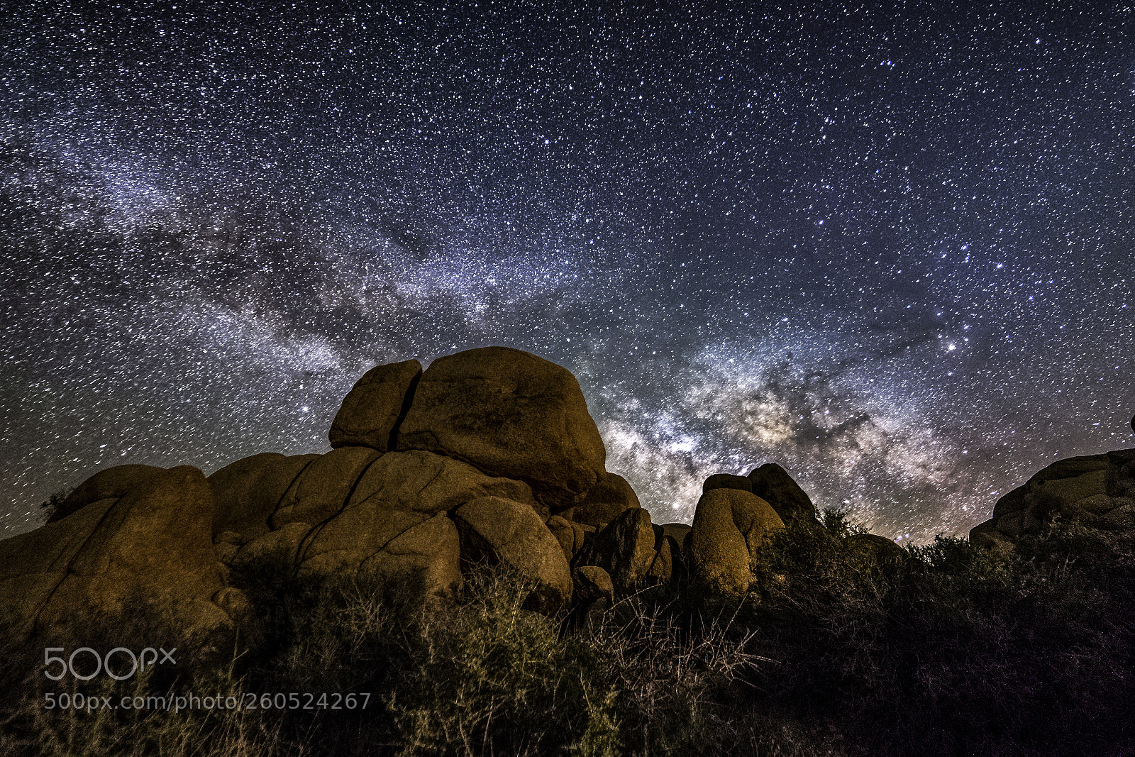 Nikon D750 sample photo. Joshua tree nights photography