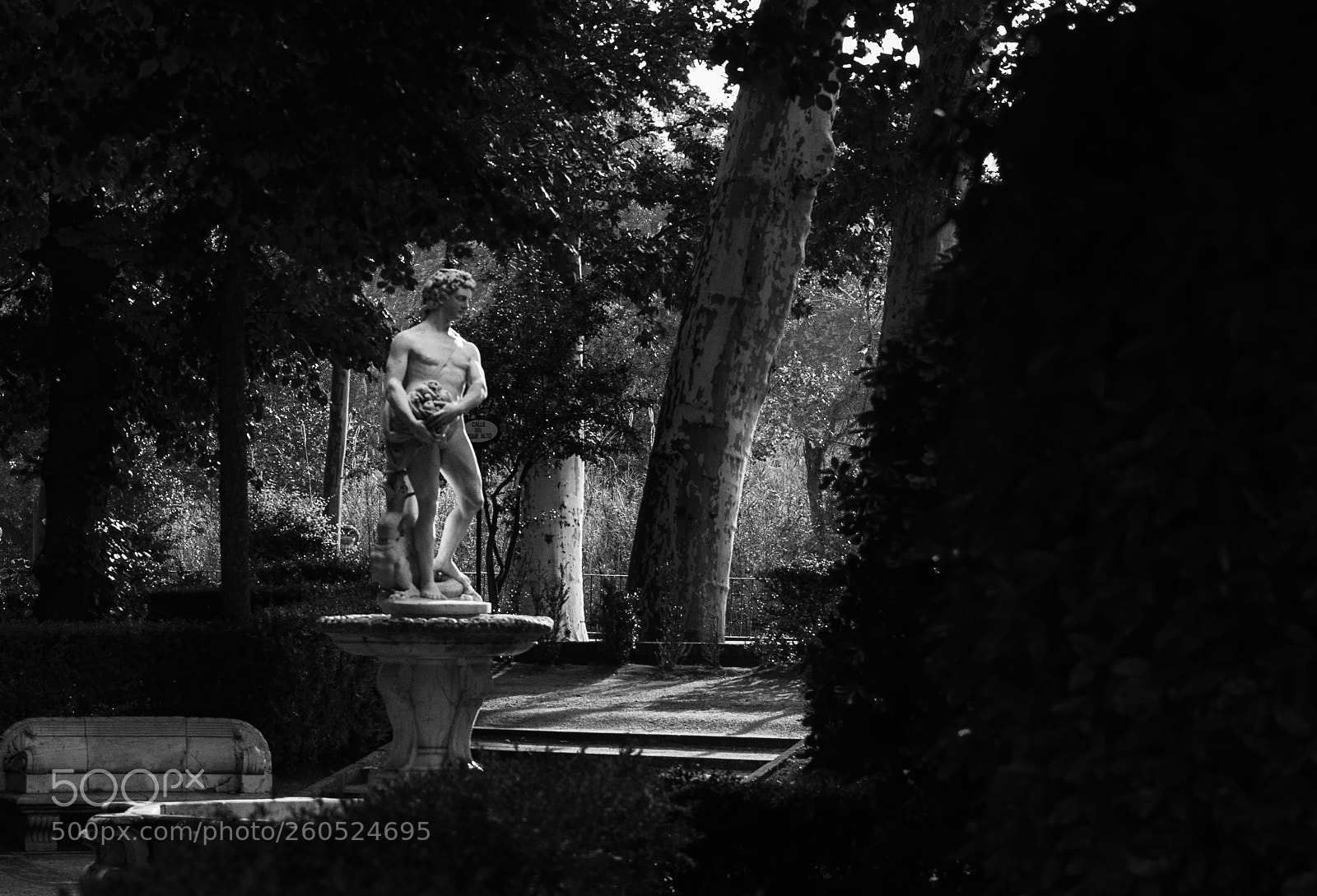 Nikon D500 sample photo. Fuente de vertumno photography