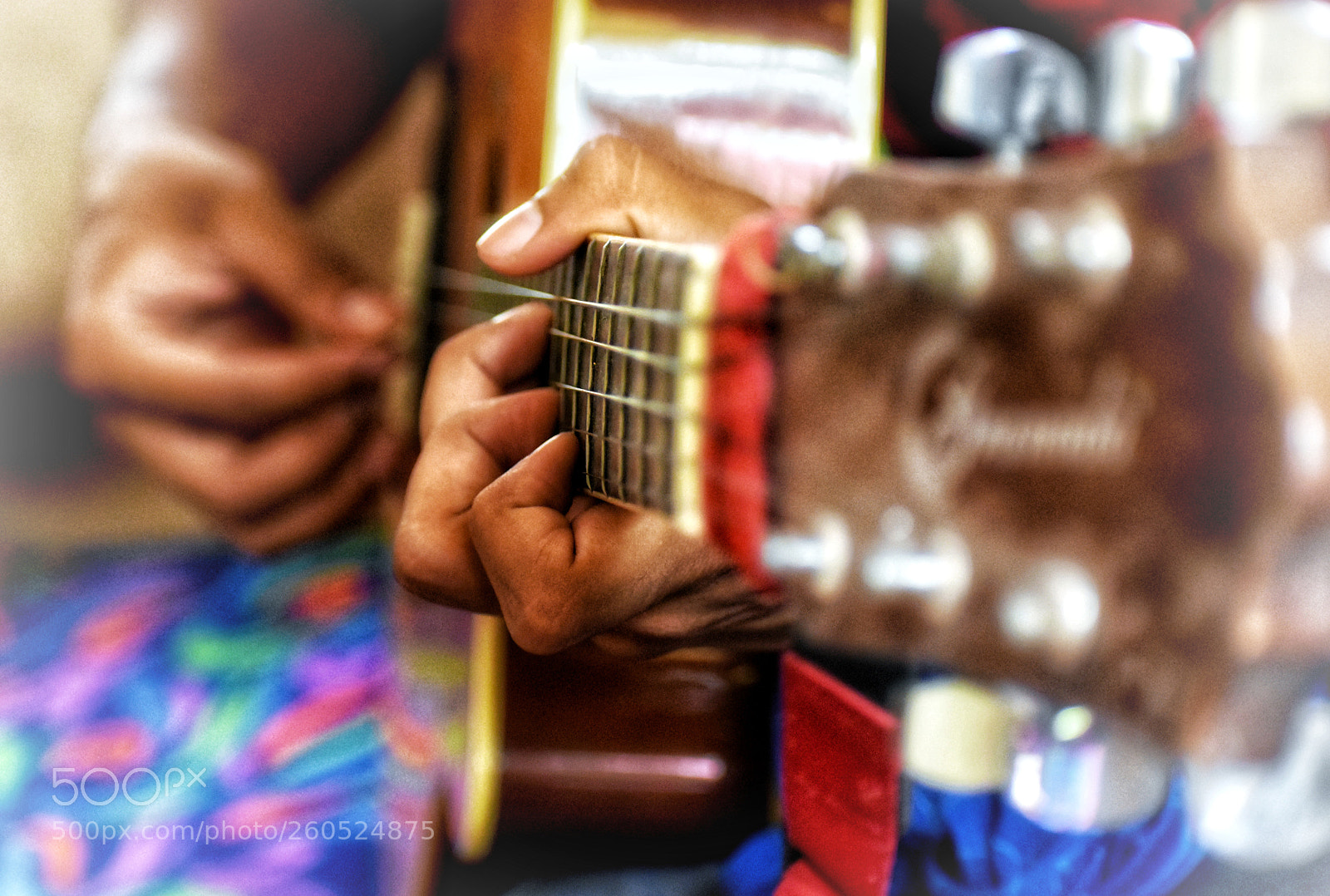 Nikon D5600 sample photo. Untitled photography