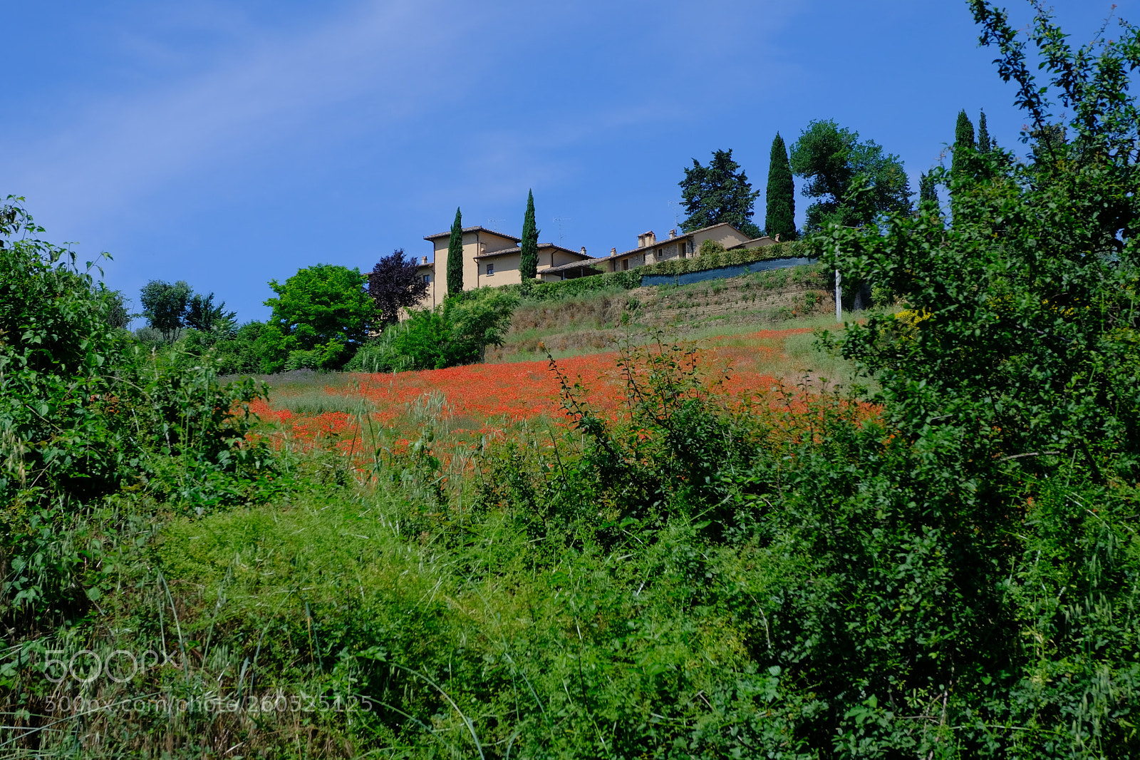 Fujifilm X-H1 sample photo. Summer in chianti photography