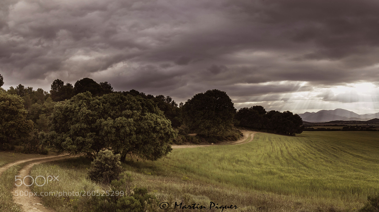 Canon EOS 6D sample photo. Stormy afternoon photography