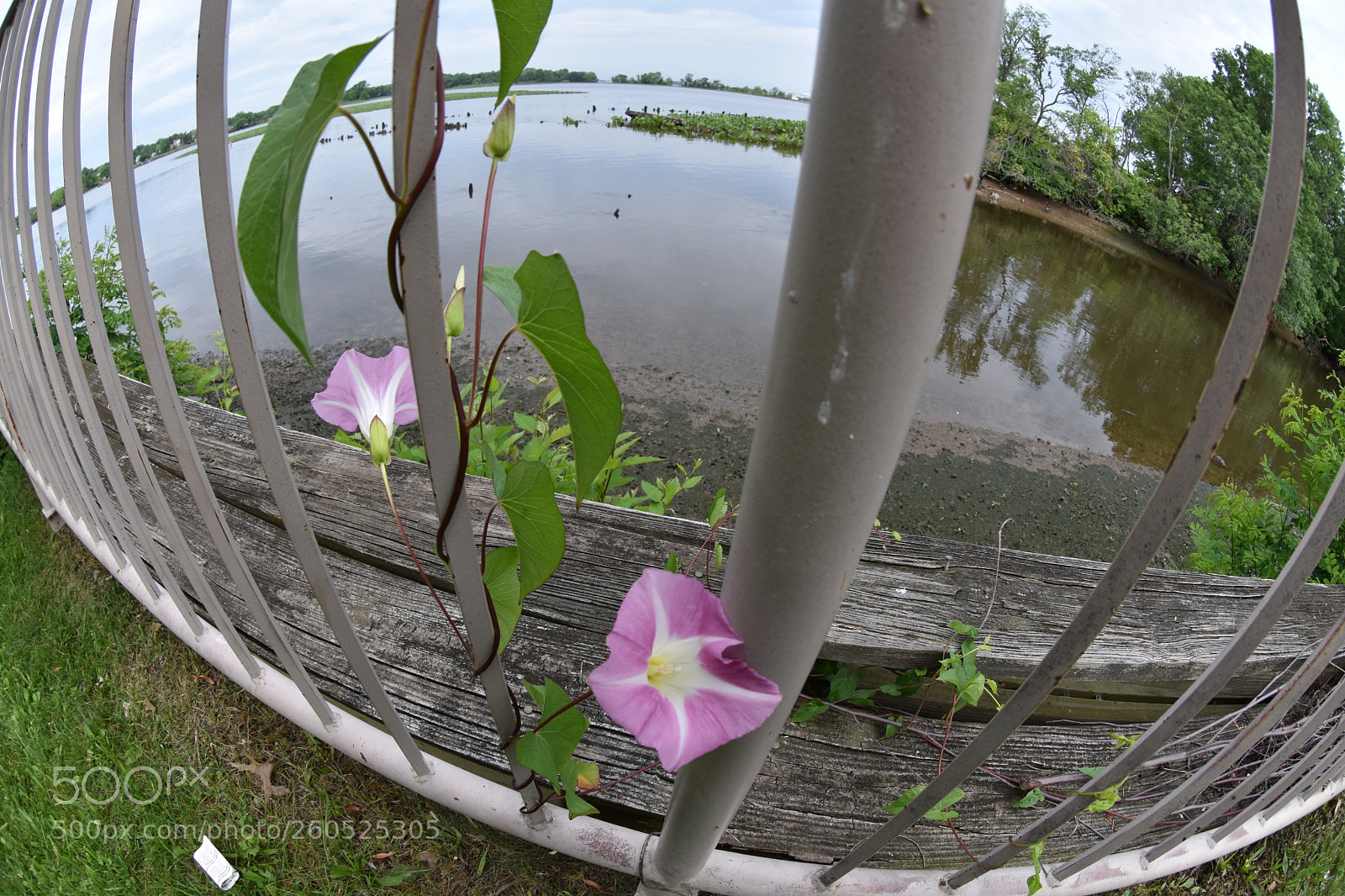 Nikon D7200 sample photo. New arrivals photography