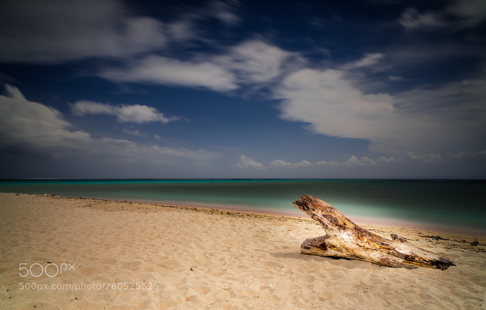 Nikon D850 sample photo. Silence  photography