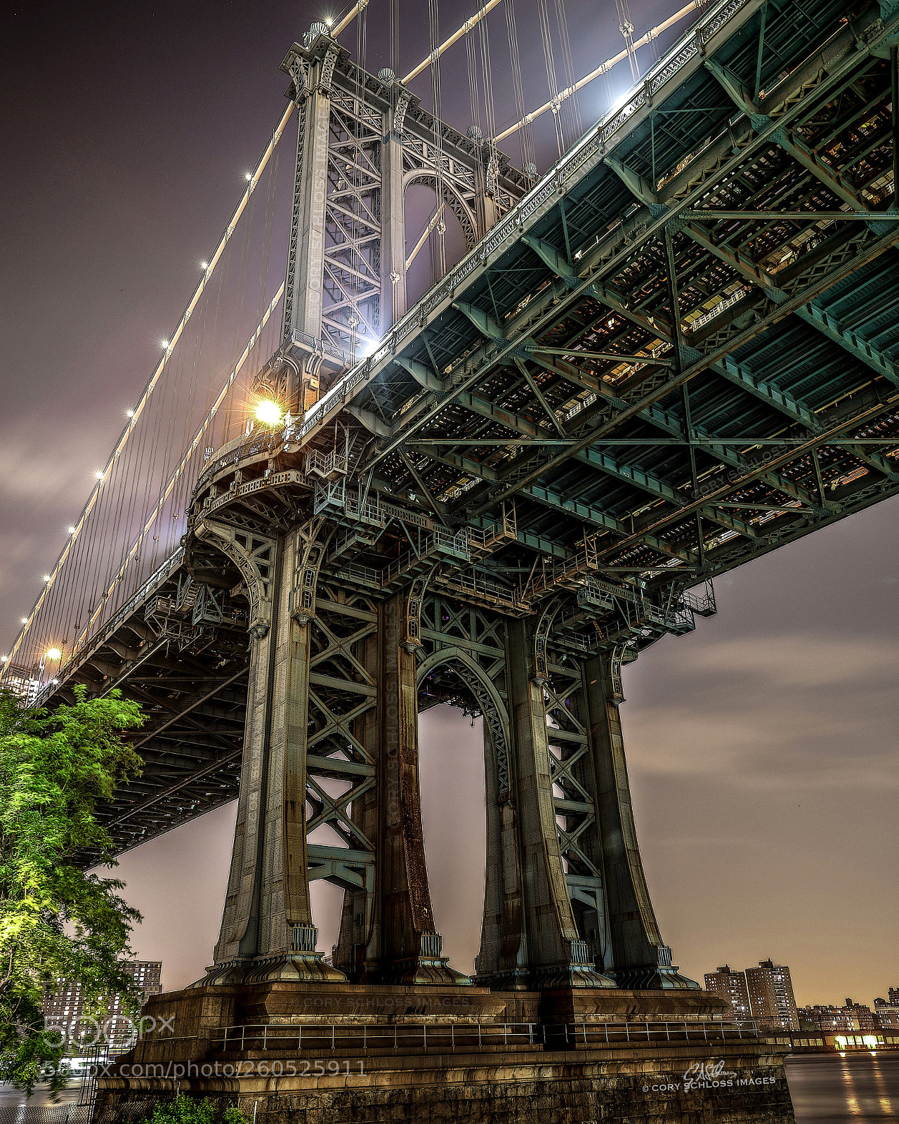 Canon EOS 5D Mark IV sample photo. Underbelly of the beast photography