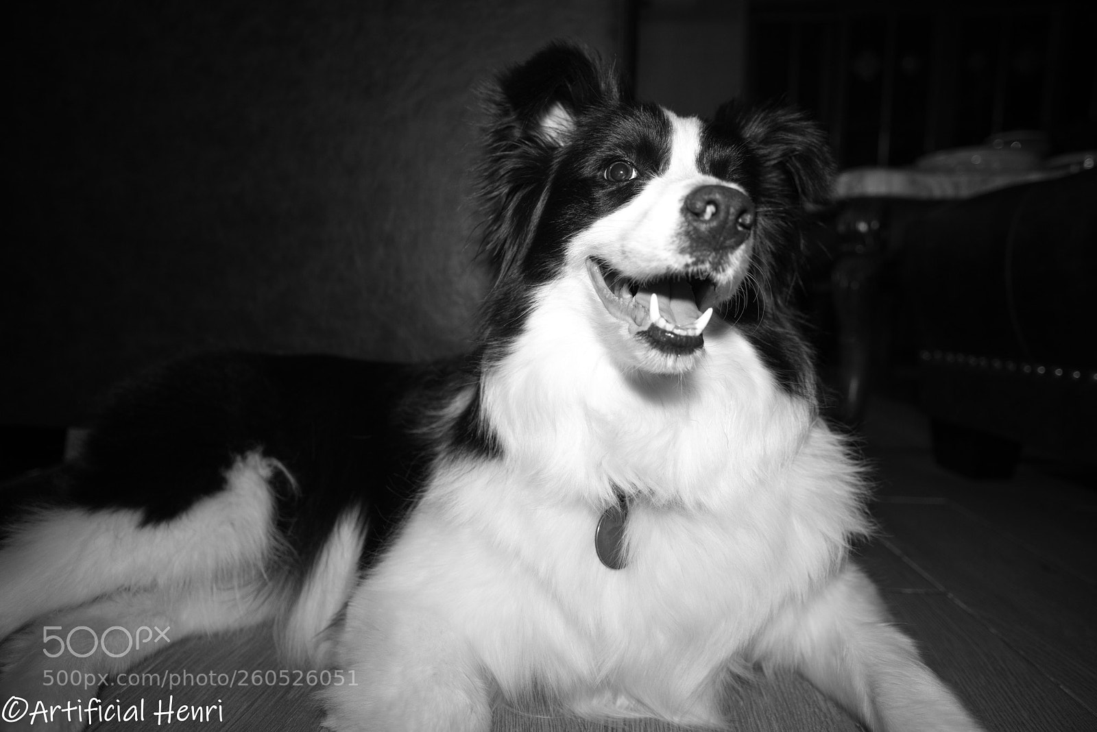 Nikon D800E sample photo. B w, i look photography