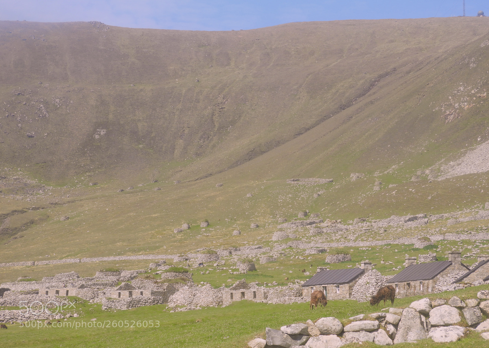 Nikon Coolpix B700 sample photo. Hirta ruins sheep and photography