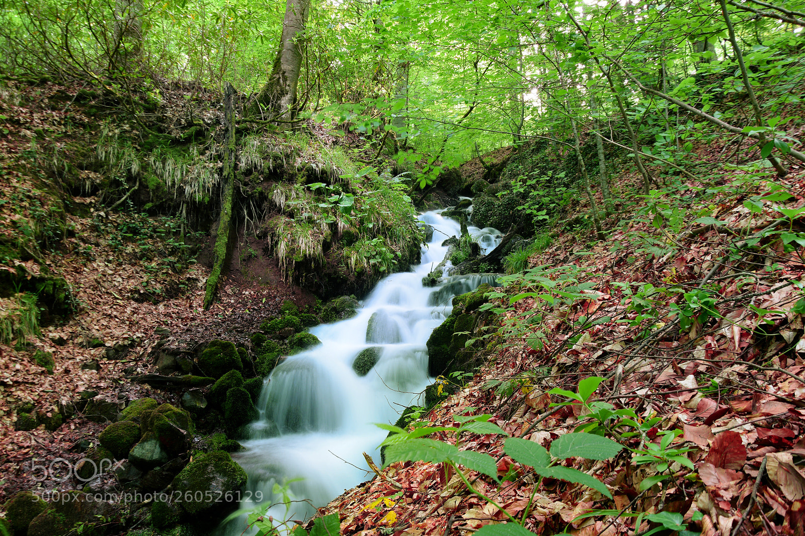 Nikon D5300 sample photo. Flow stream photography