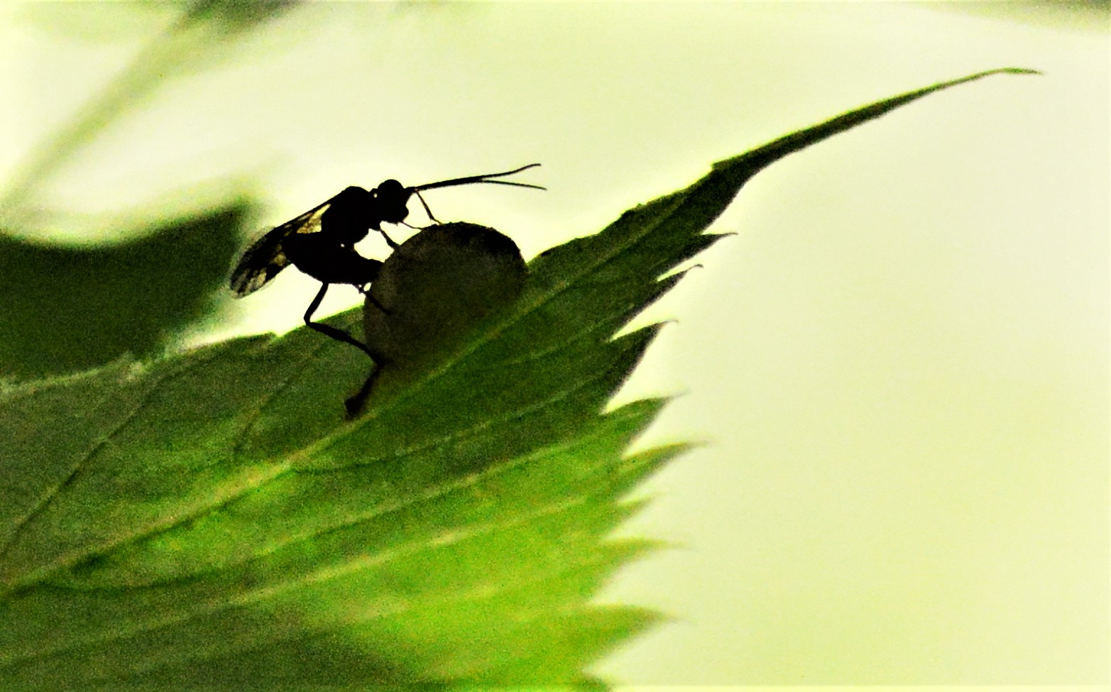 Nikon D3200 sample photo