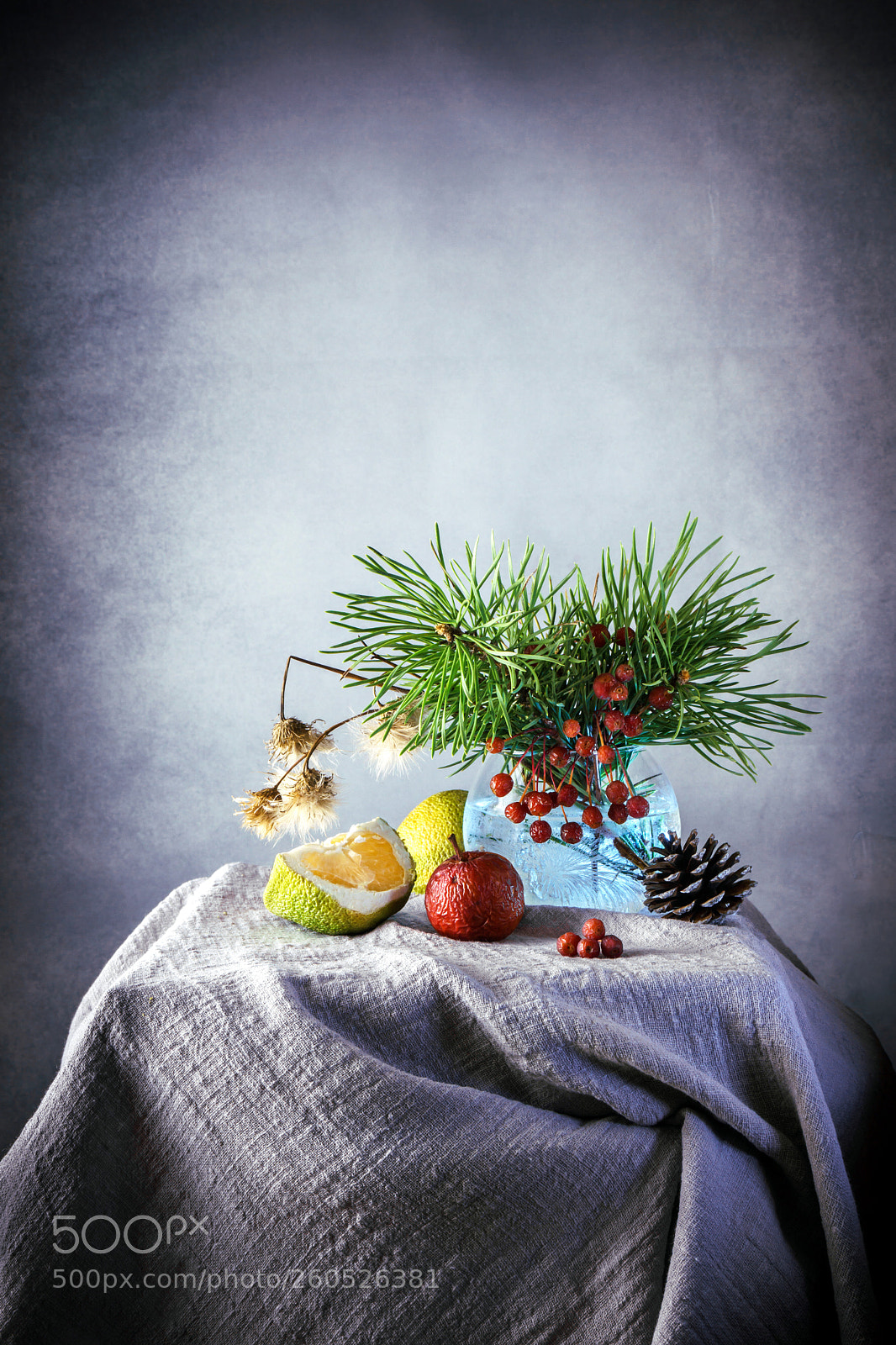 Sony a6000 sample photo. Still life on a photography